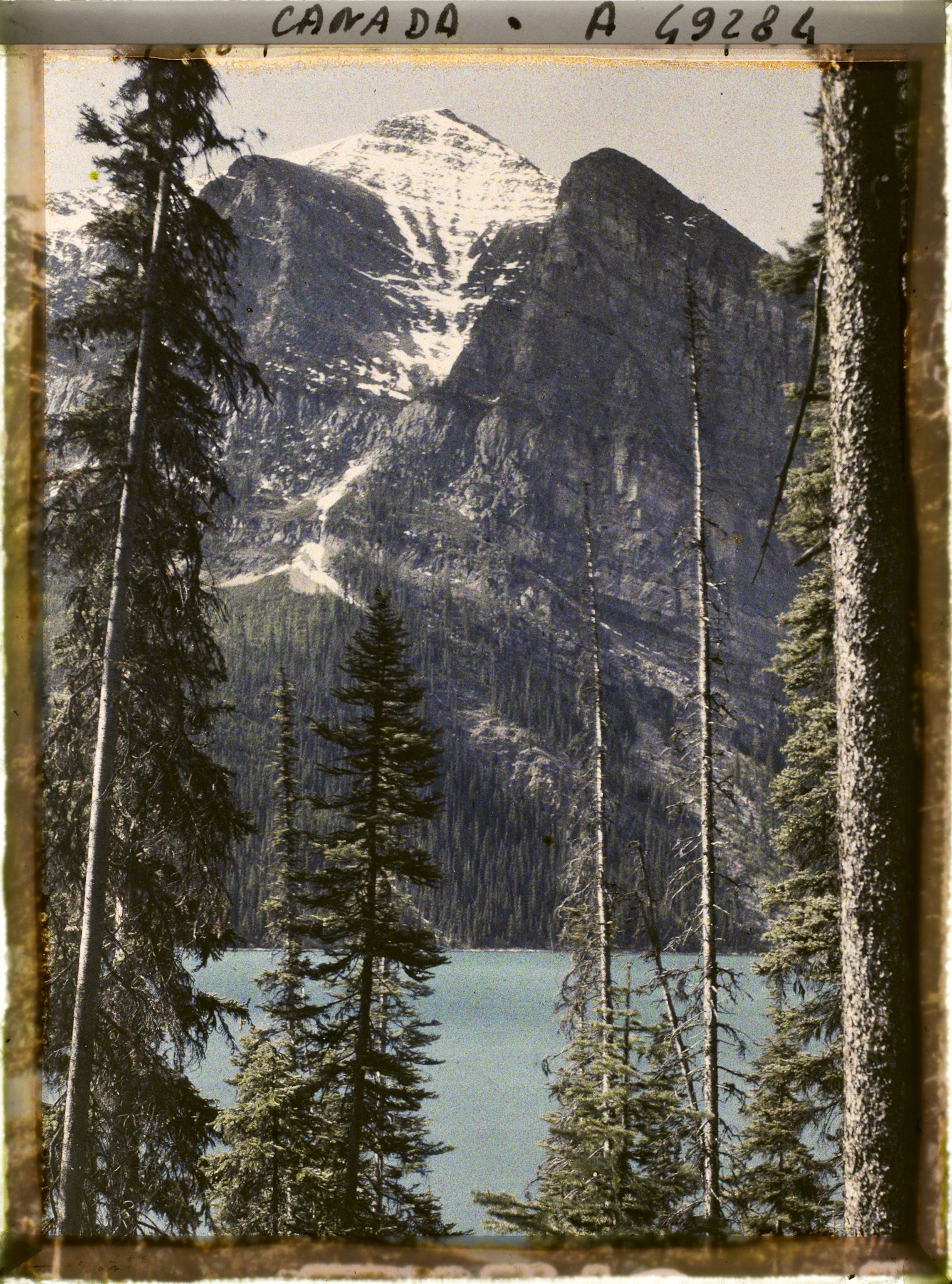Image représentant Canada, Lac Louise, Le Lac et le Mt Fairwiev entre les arbres
