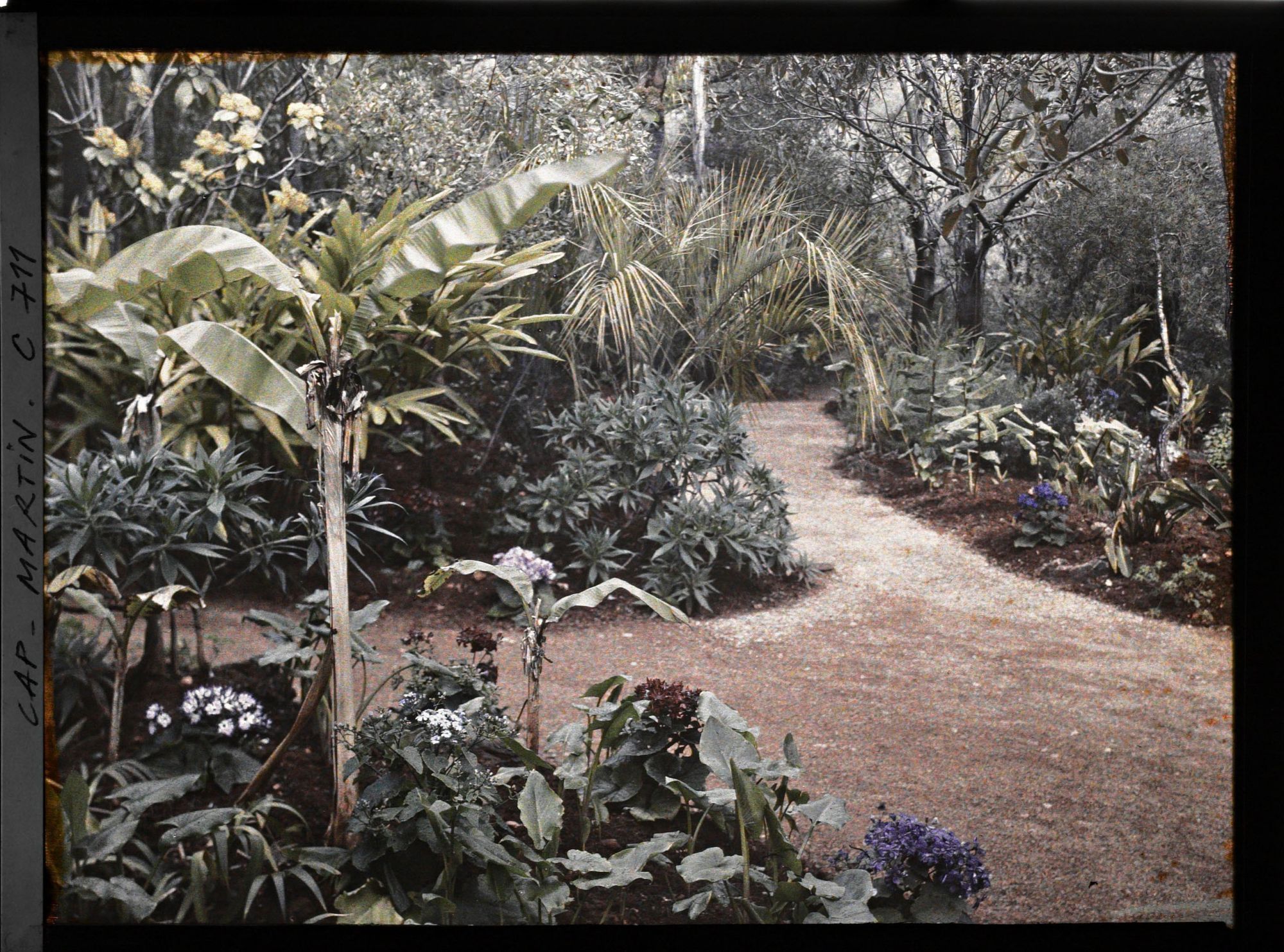 Image représentant Jardin divers