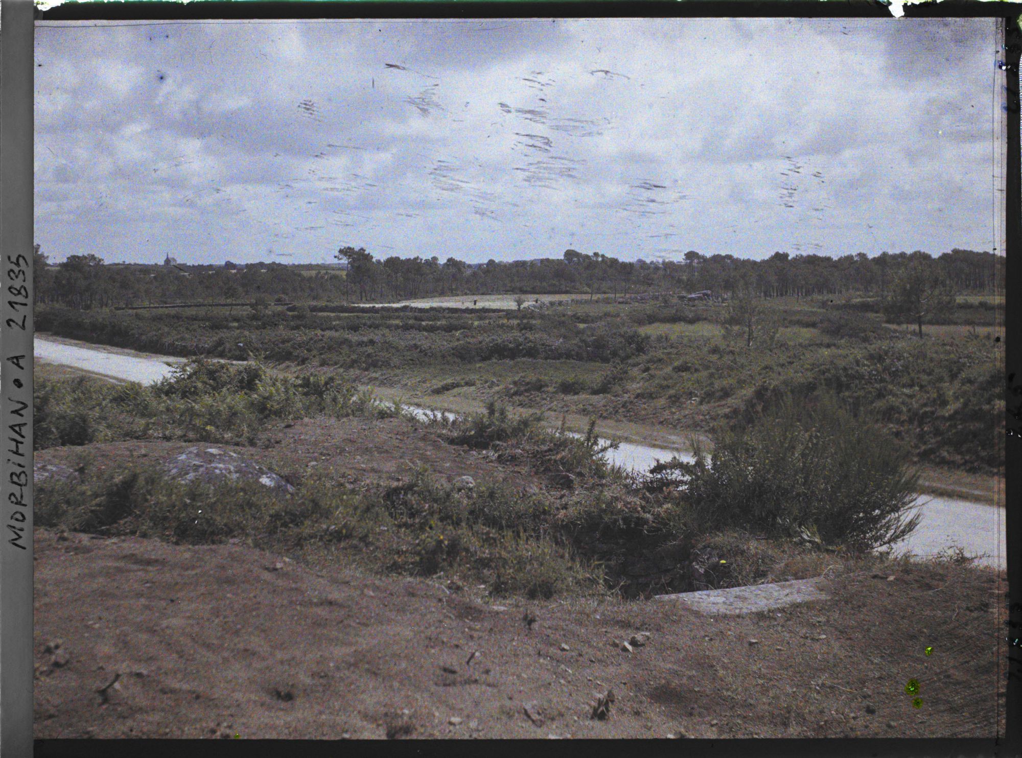 Image représentant La lande de part et d'autre de la route d'Auray à Carnac