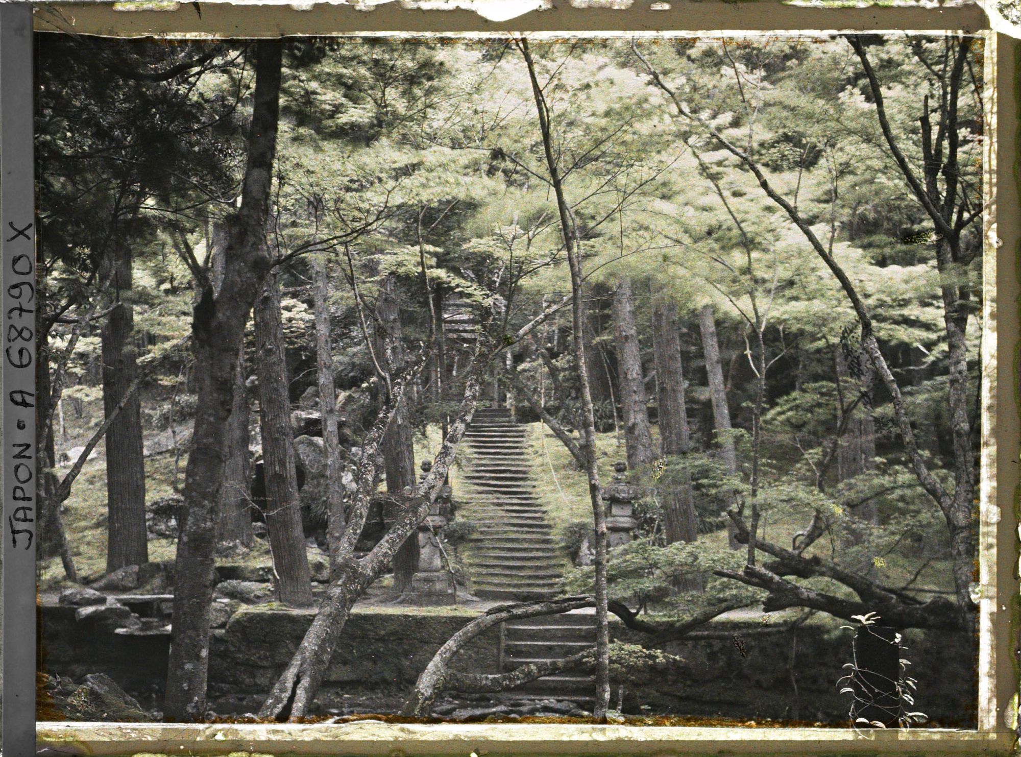 Image représentant Le jardin Iso-teien (Sengan-en)