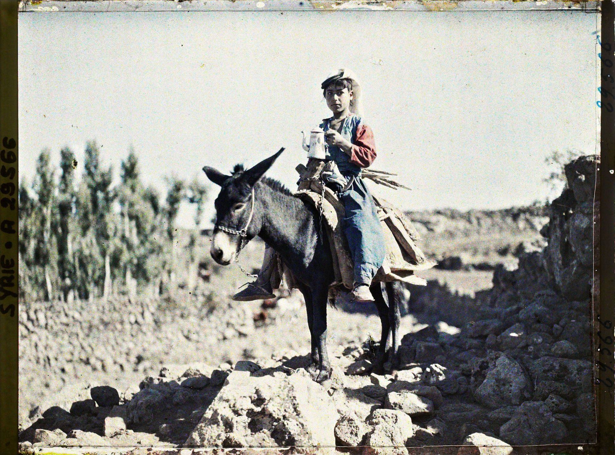 Image représentant Enfant druze sur son âne