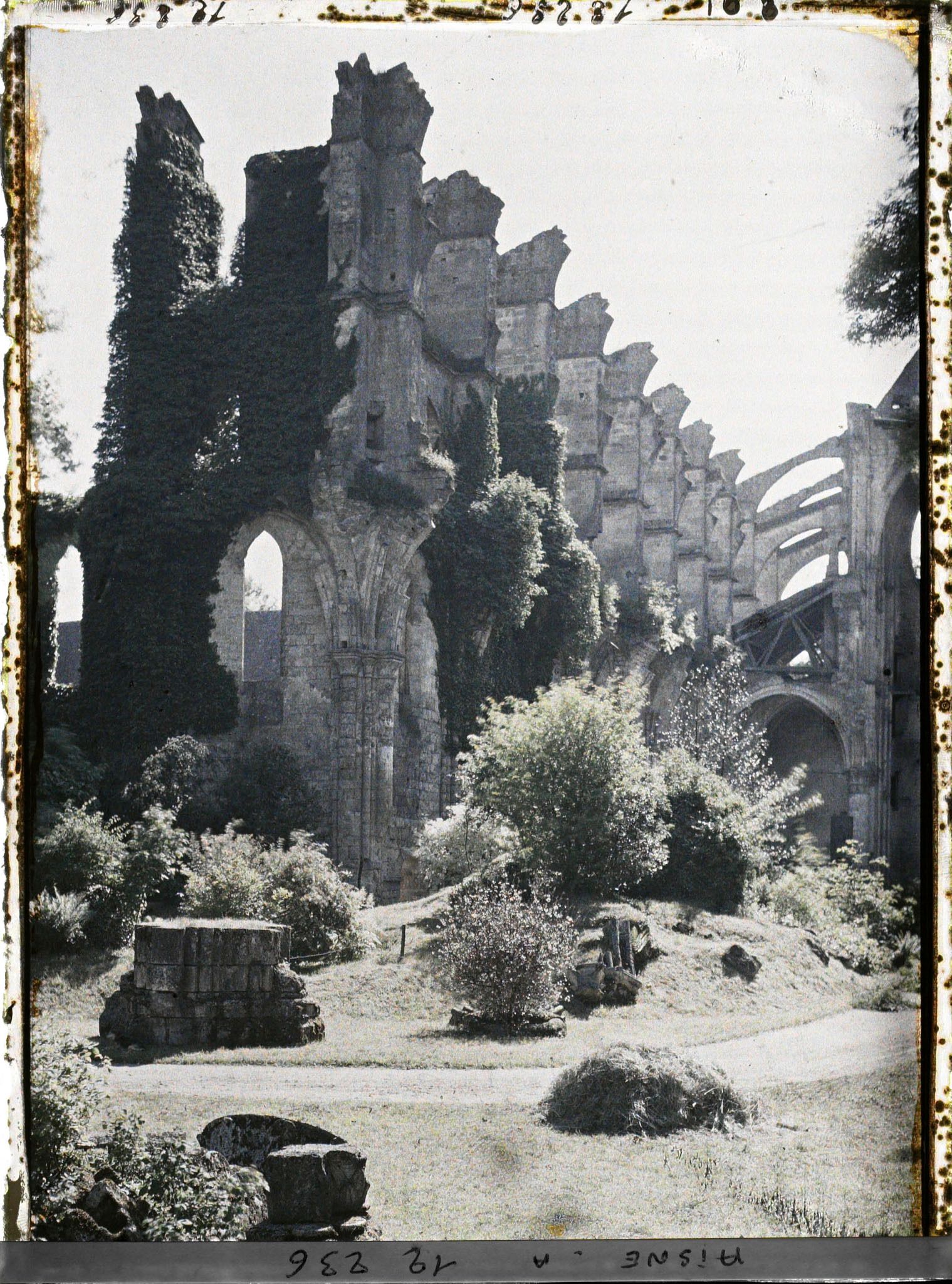 Image représentant Les vestiges de l'ancienne abbaye cistercienne fondée en 1132