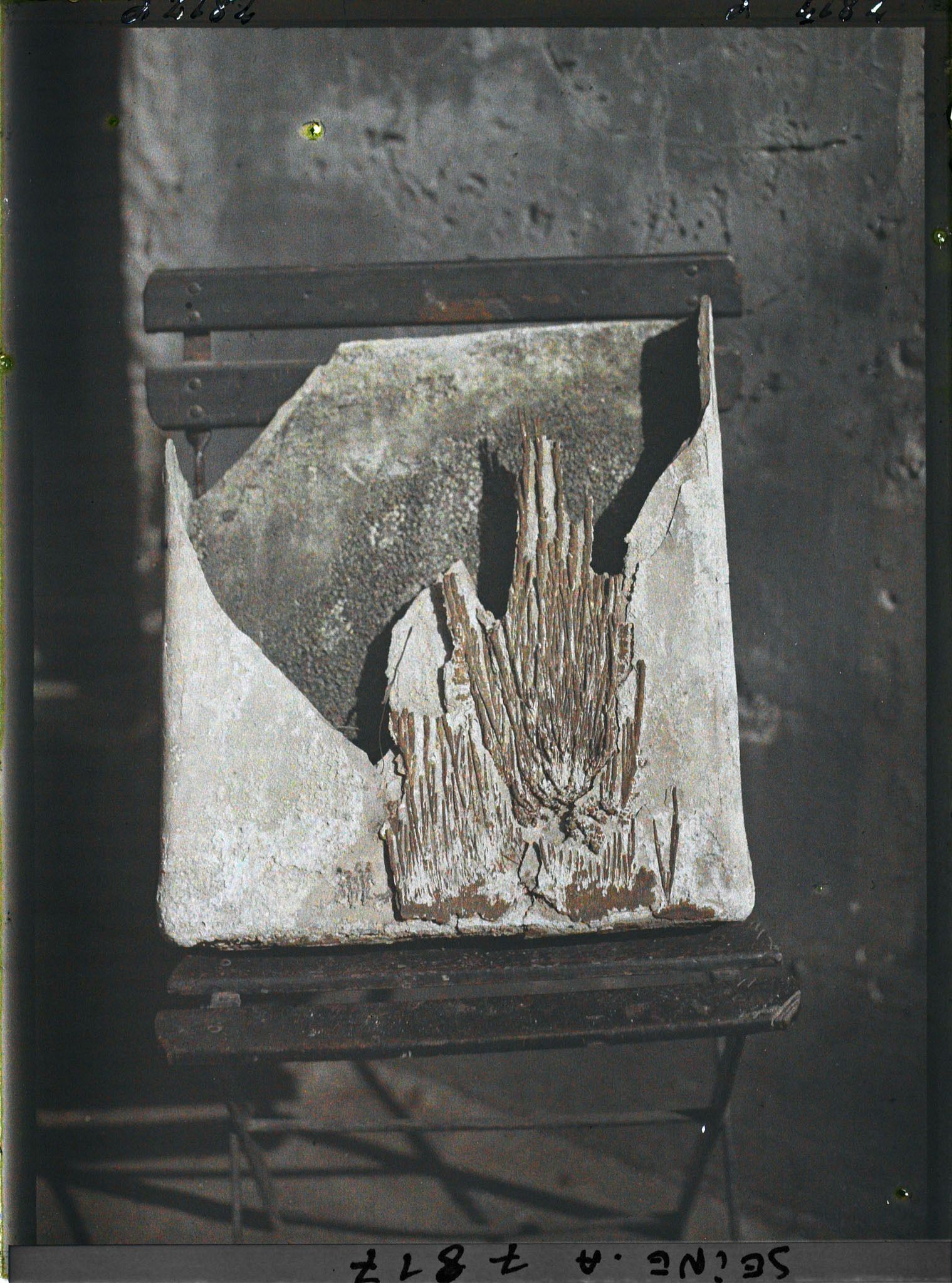 Image représentant Moulage ?