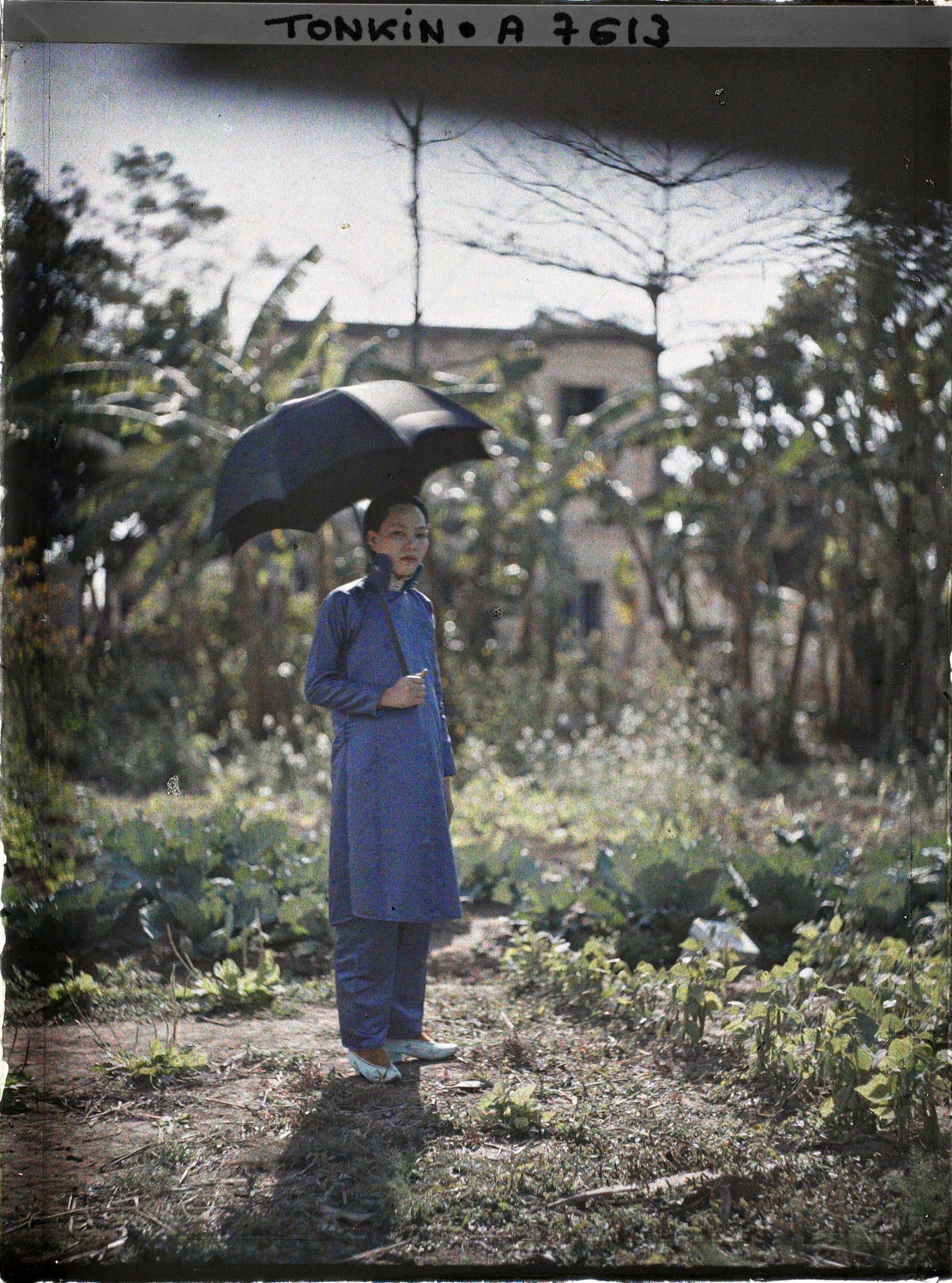 Image représentant Une métisse chinoise tenant une ombrelle