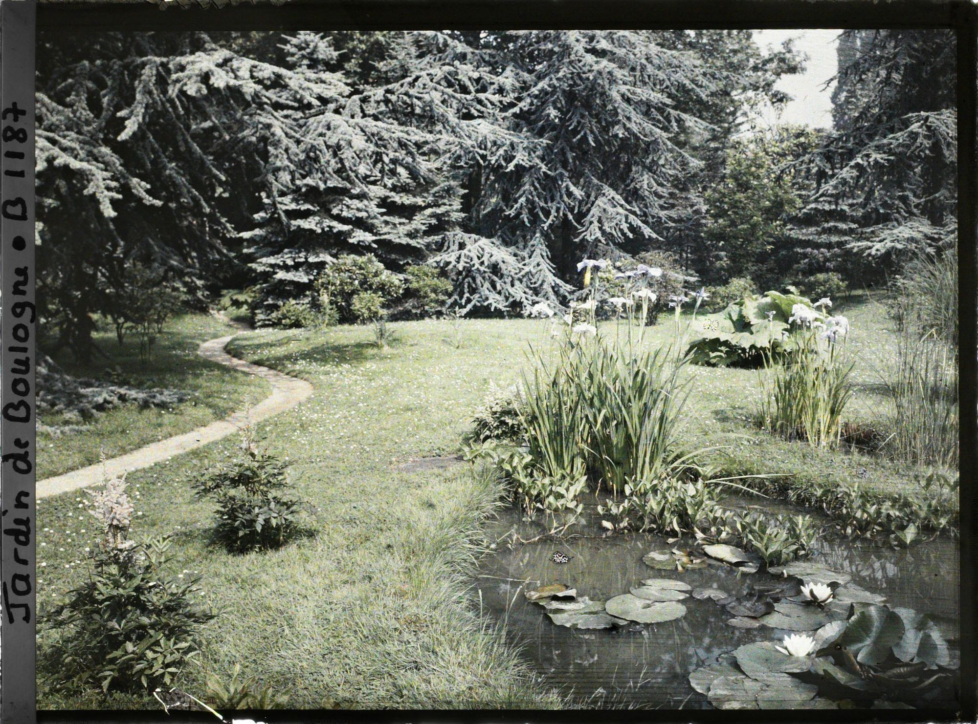 Image représentant Chemin serpentant en direction de l'ouest, à travers la pelouse qui jouxte le marais en fleurs