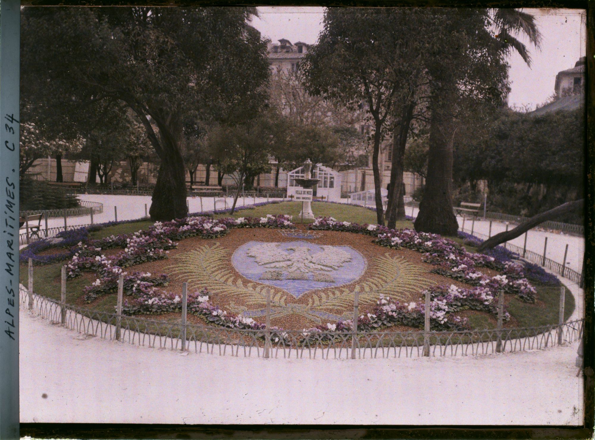 Image représentant Parterre de mosaïculture, lors d'une exposition d'horticulture, à Nice