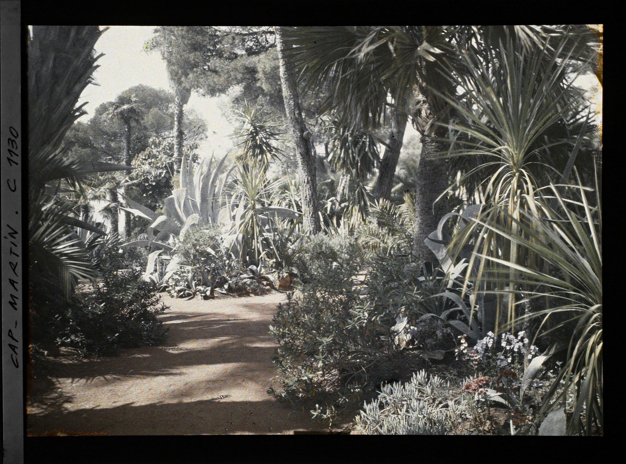 Image représentant le Jardin