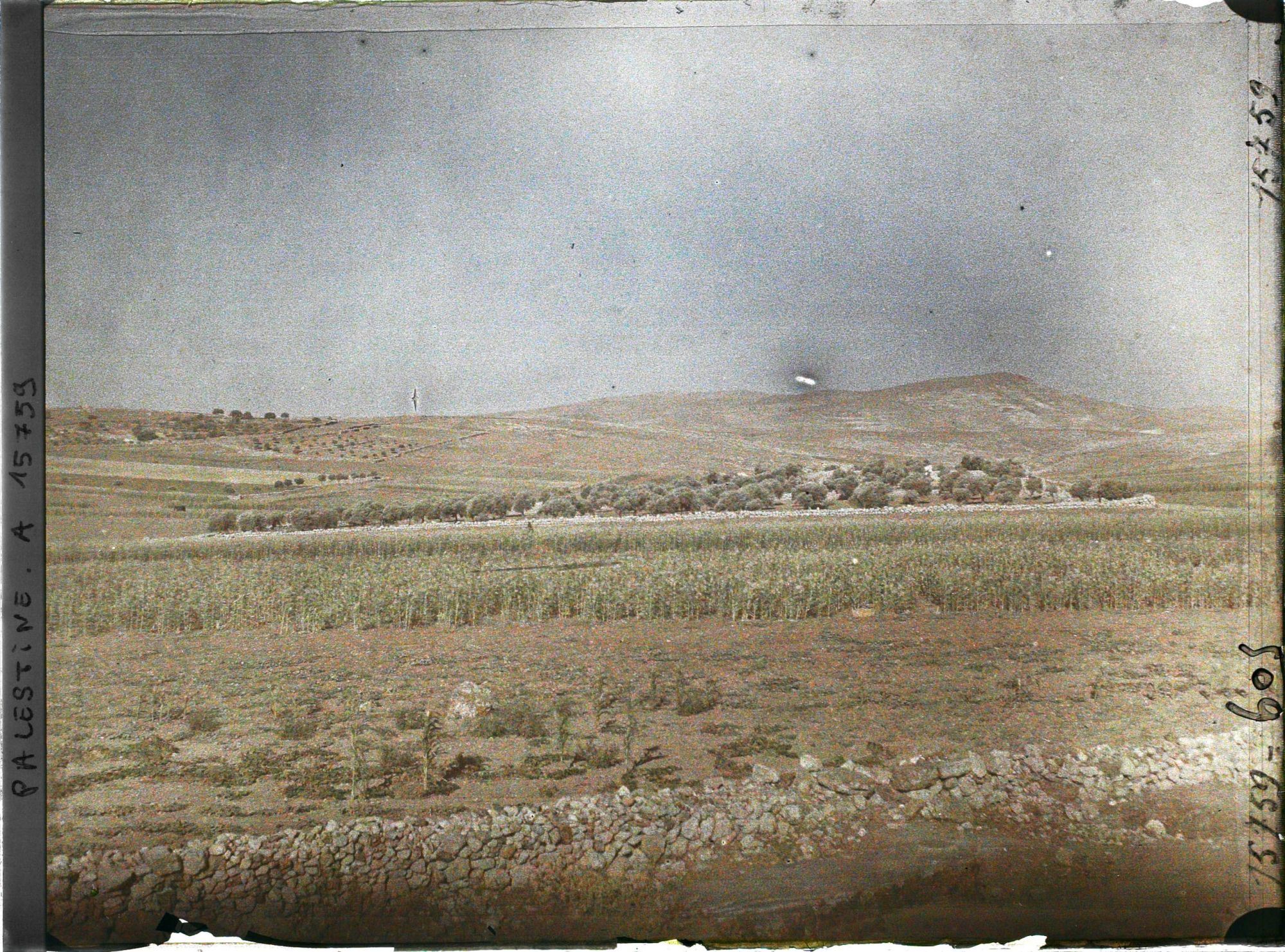 Image représentant Paysage