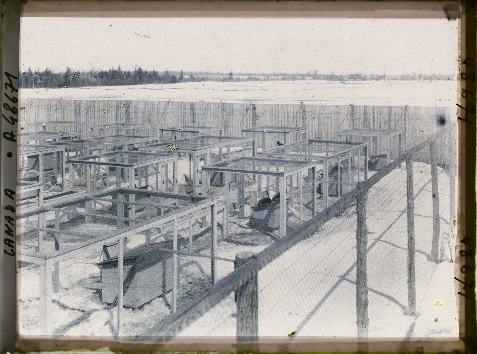 Image représentant Canada, Laval Des Rapides, Ferme de Renards argentés