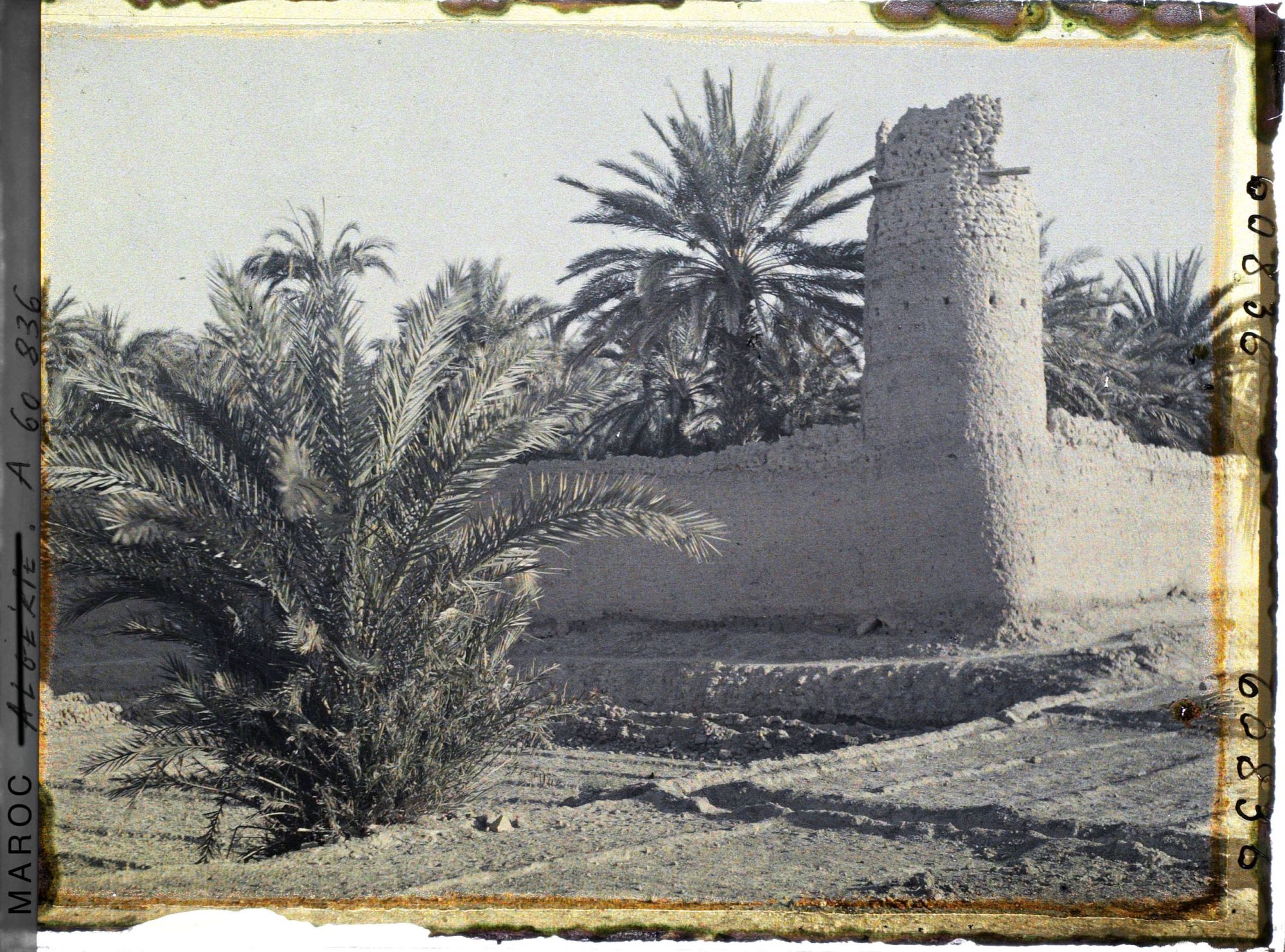 Image représentant Jardins et tour de garde