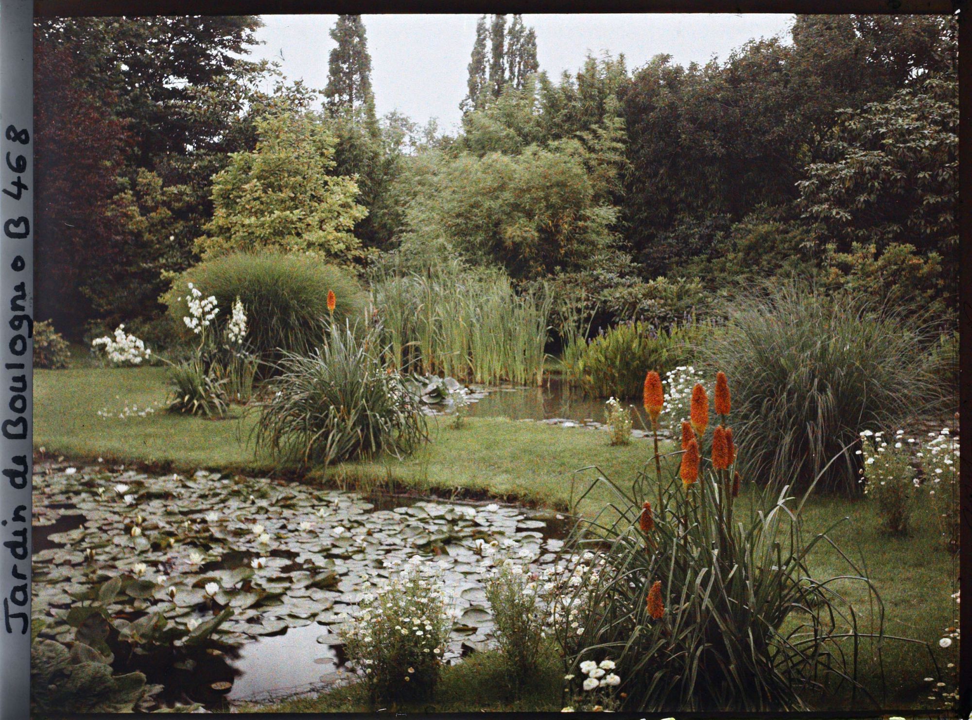 Image représentant Coin nord-est des " étangs " du marais bordés de fleurs et couverts de nénuphars