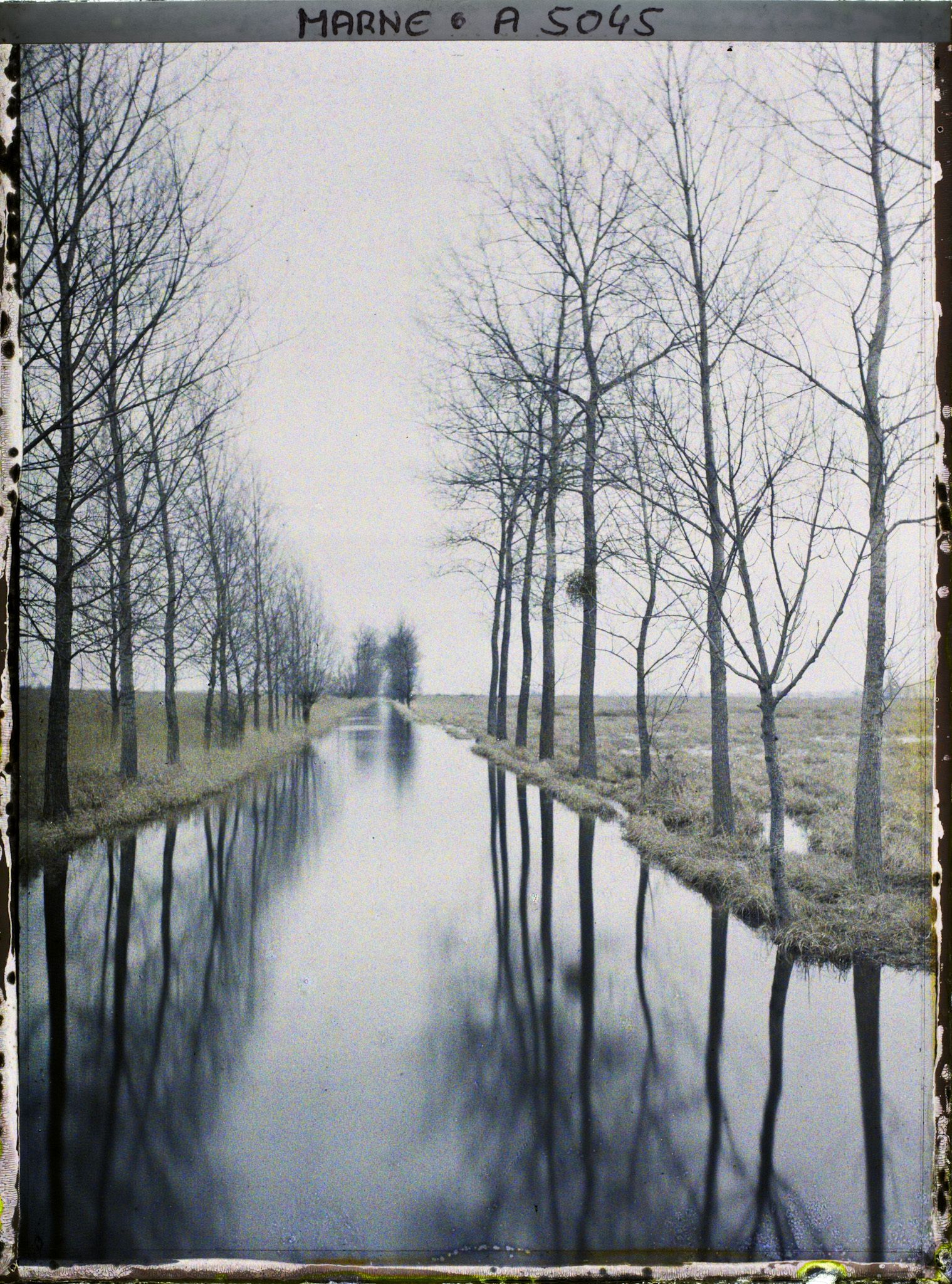 Image représentant La rivière le Petit Morin à sa sortie des marais de Saint-Gond
