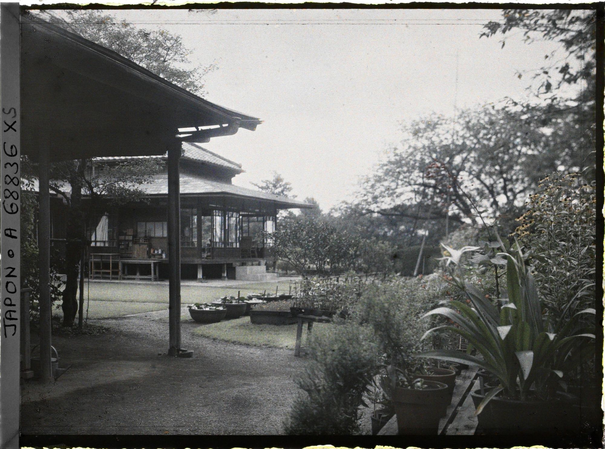 Image représentant Résidence Kitashirakawa (?) ou pépinière