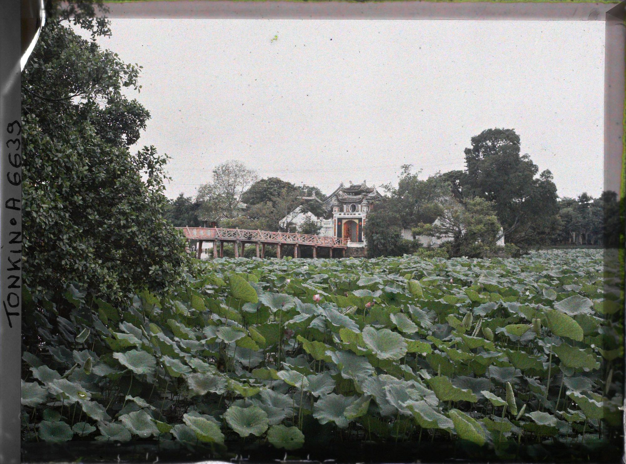 Image représentant Le temple Ngoc-so'n (appelé par les Européens "Pagode des Pinceaux"), situé sur "l'île de Jade" du Petit Lac couvert de lotus