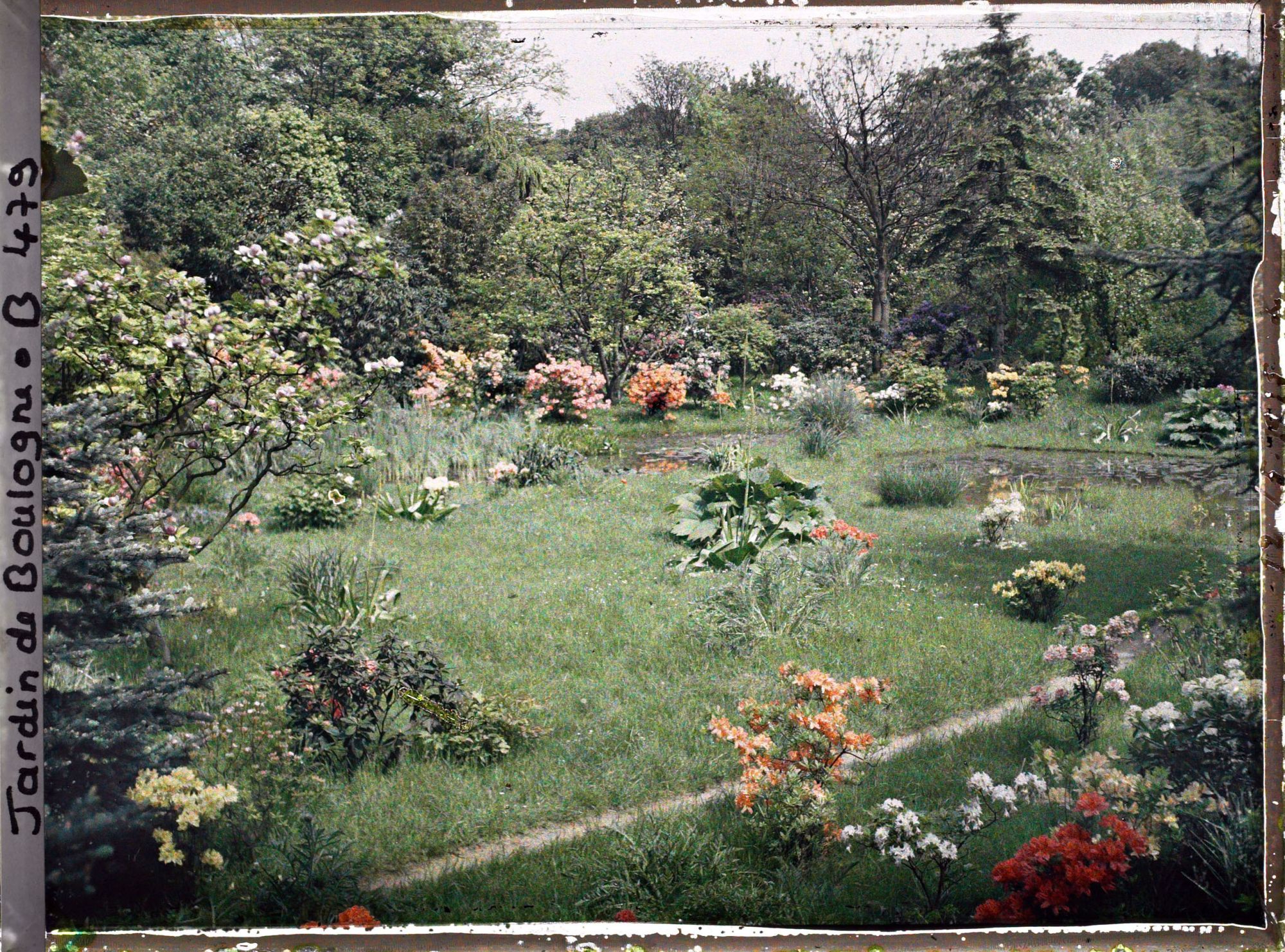 Image représentant " Étangs " et pelouse fleurie du marais vus du sud-ouest