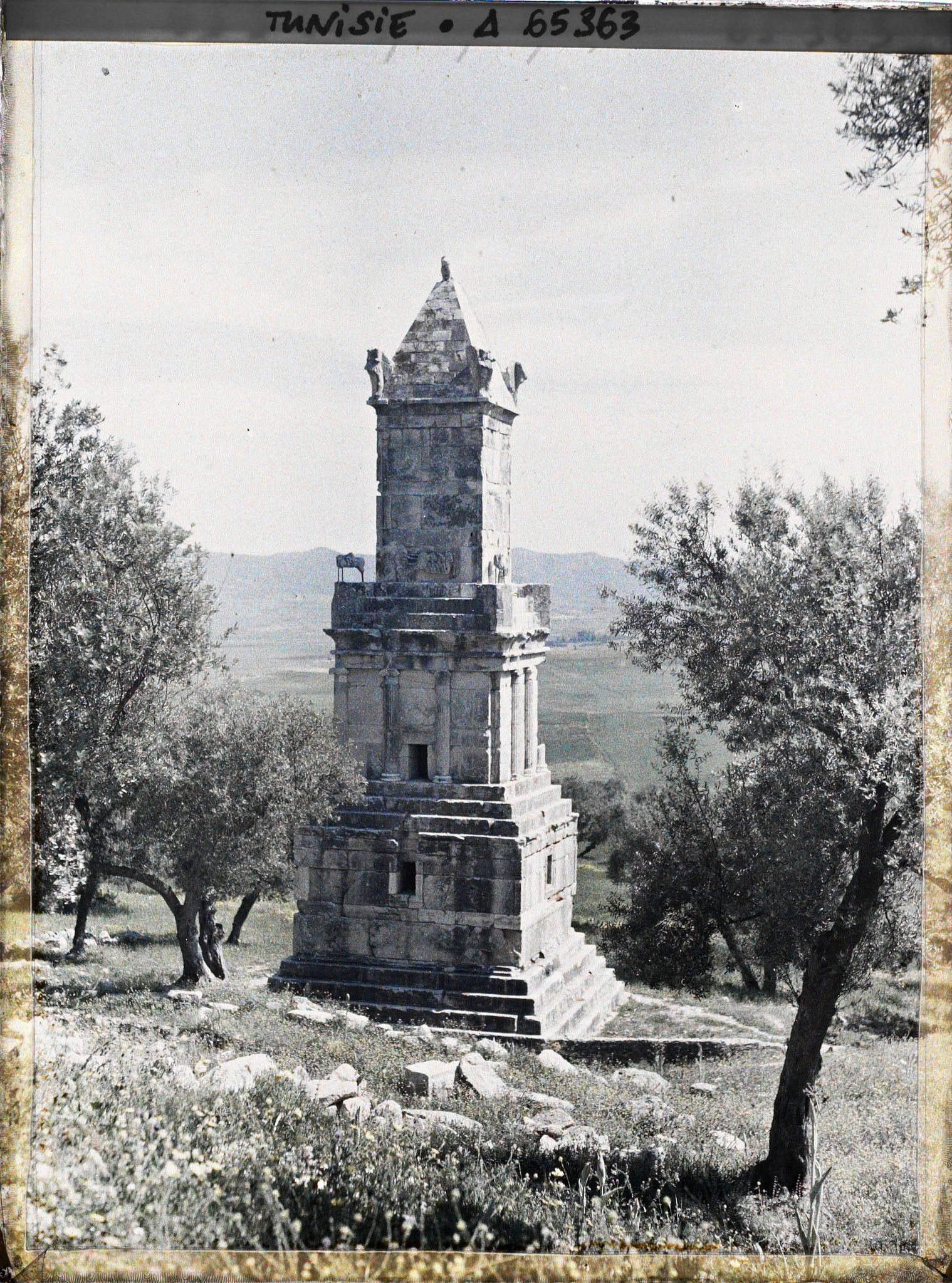 Image représentant Le mausolée libyco-punique au milieu des oliviers