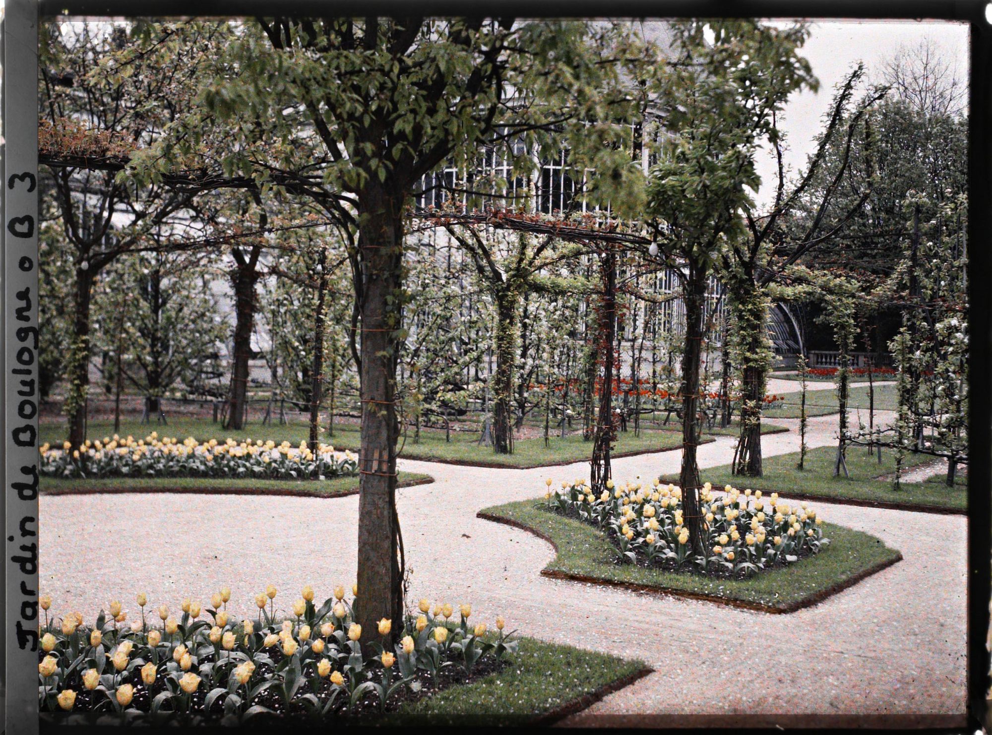 Image représentant Partie nord-est du verger-roseraie vue depuis le rond-point fleuri, proche du jardin français