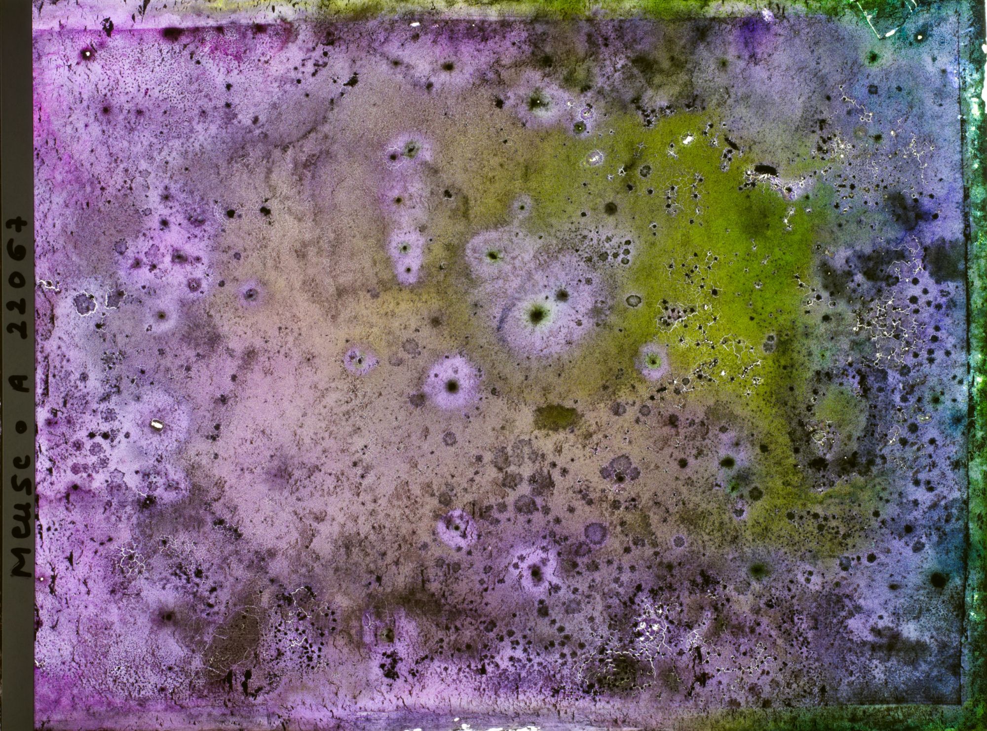 Image représentant Image illisible, plaque endommagée par l'eau (altérations d'époque)