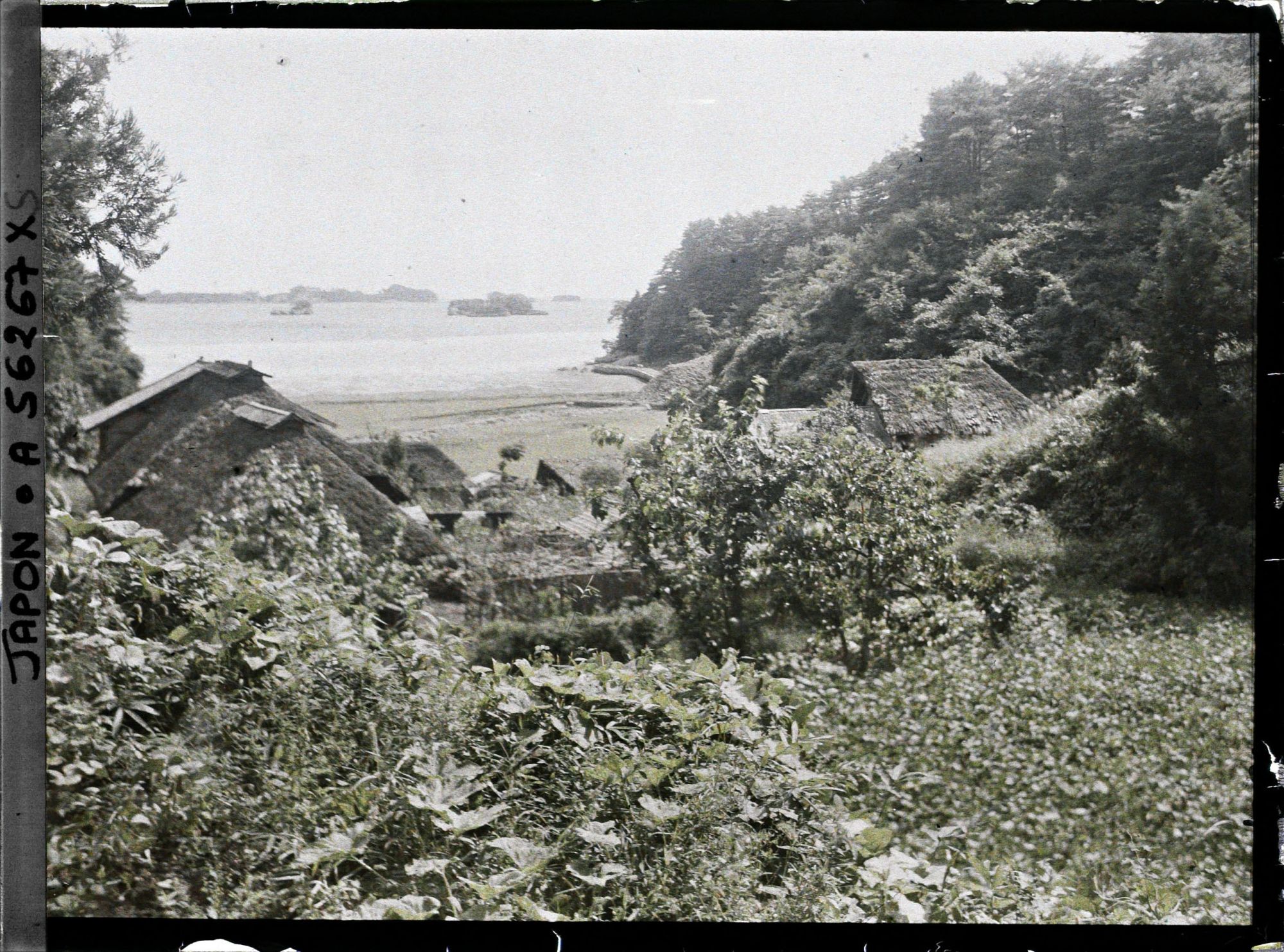 Image représentant La baie de Matsushima, vue d'un village juste au sud de l'île Oshima