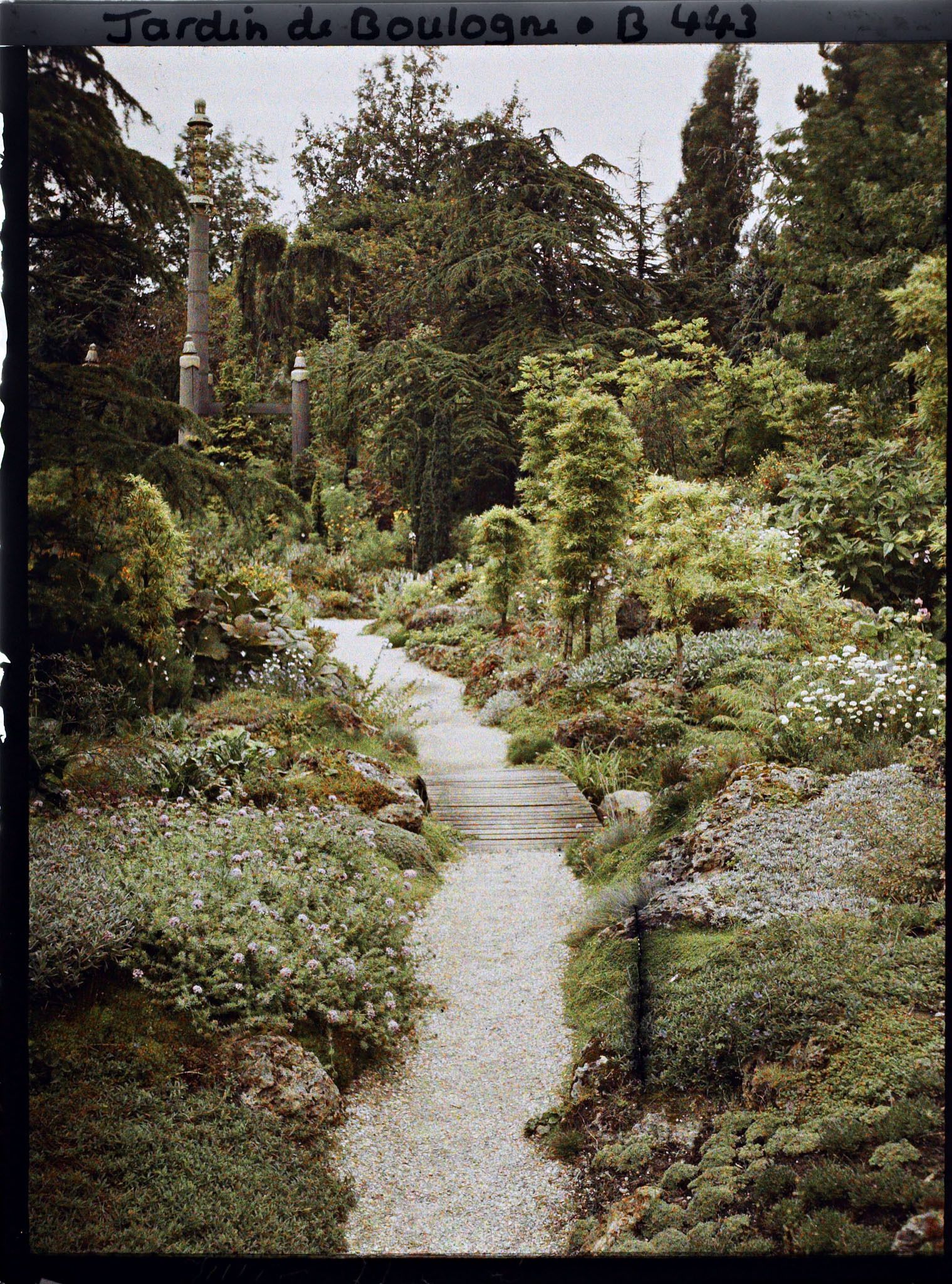 Image représentant Chemin du " sanctuaire japonais " menant au sôrintô, bordé de rocailles, arbres et bambous