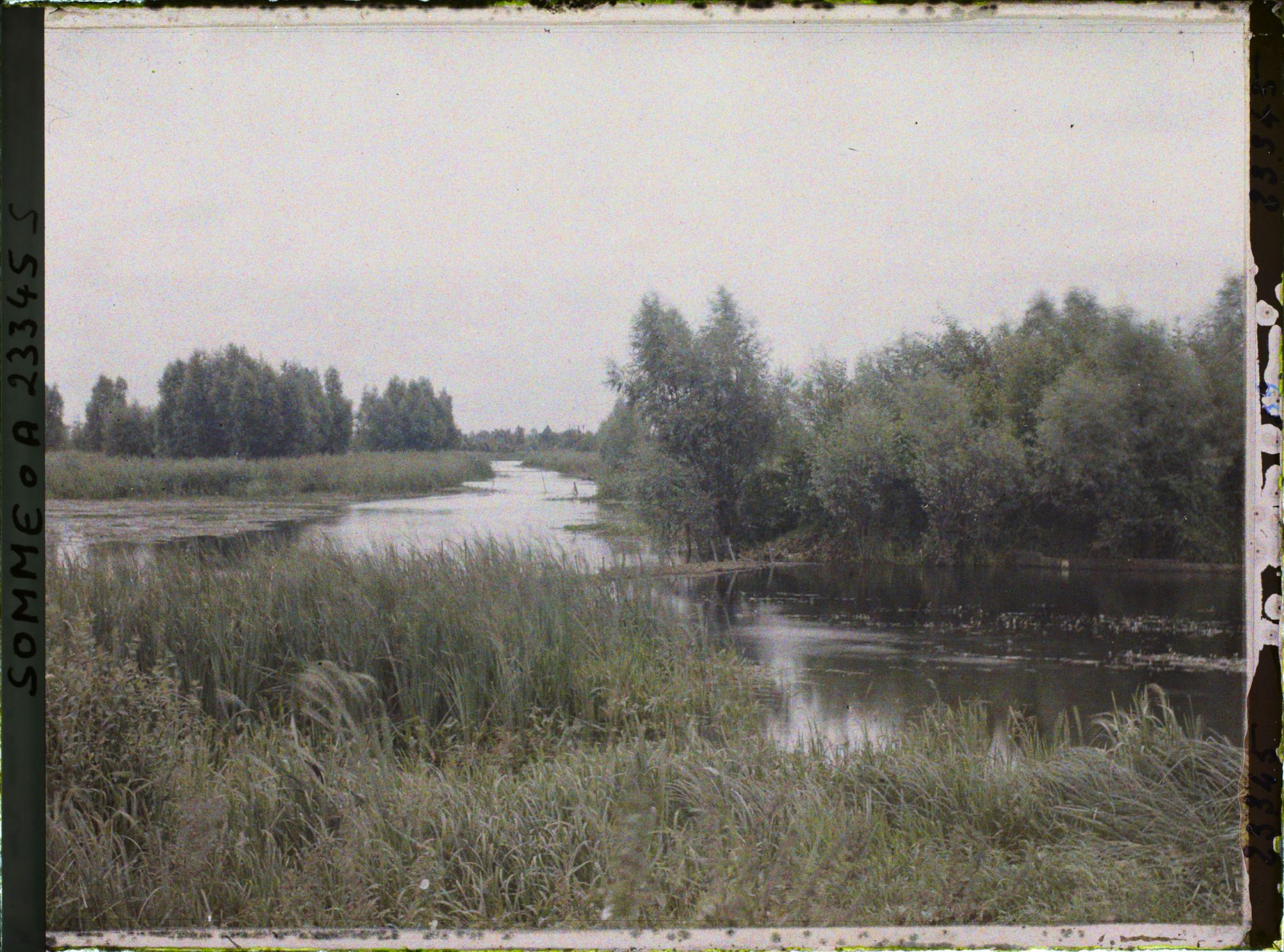 Image représentant France, Péronne, Les marais de la Somme au Sud Est de Péronne