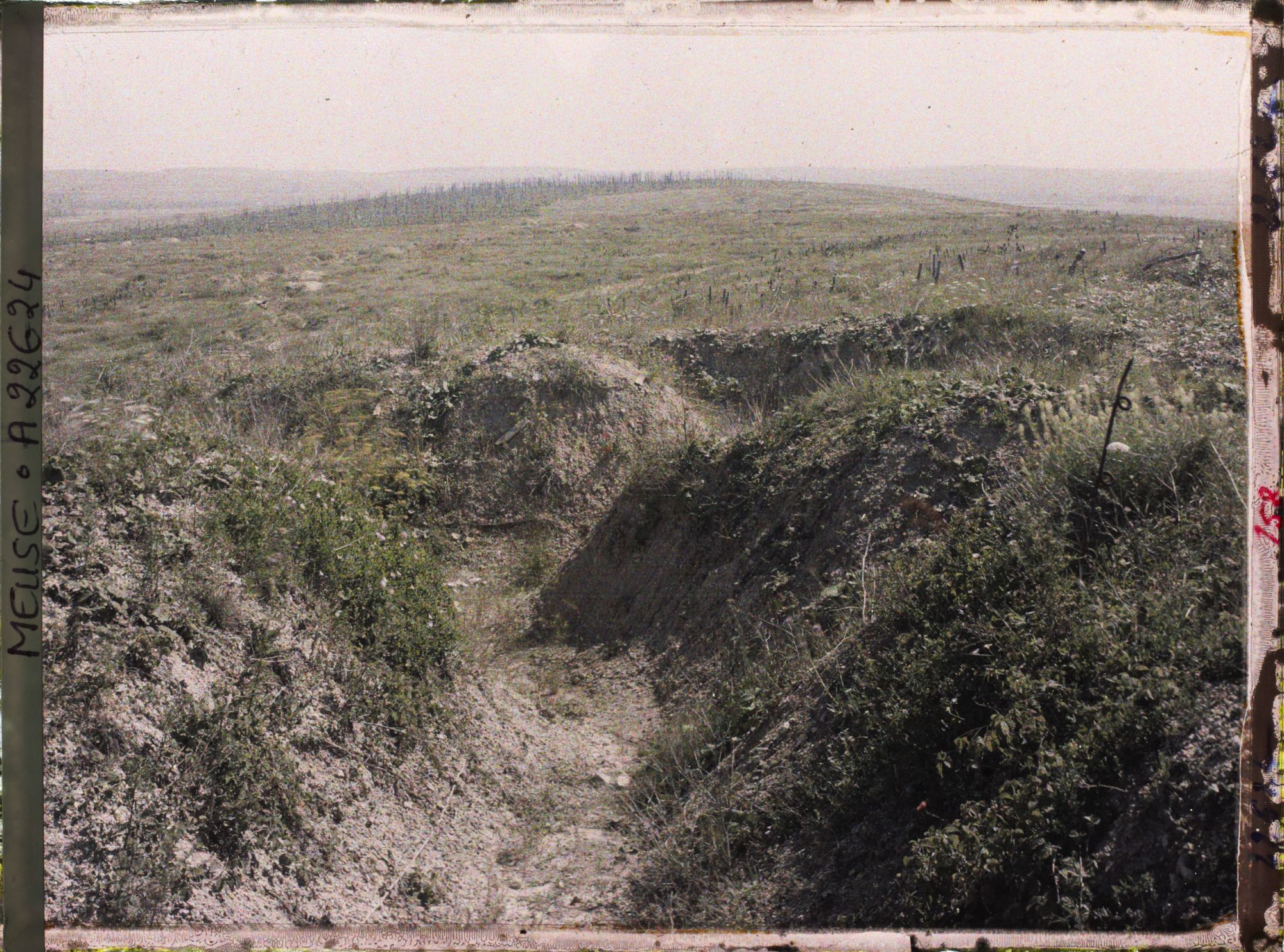 Image représentant France, Mort-Homme, Tranchée au Mort Homme et bois des Corbeaux ( Sud-Est)
