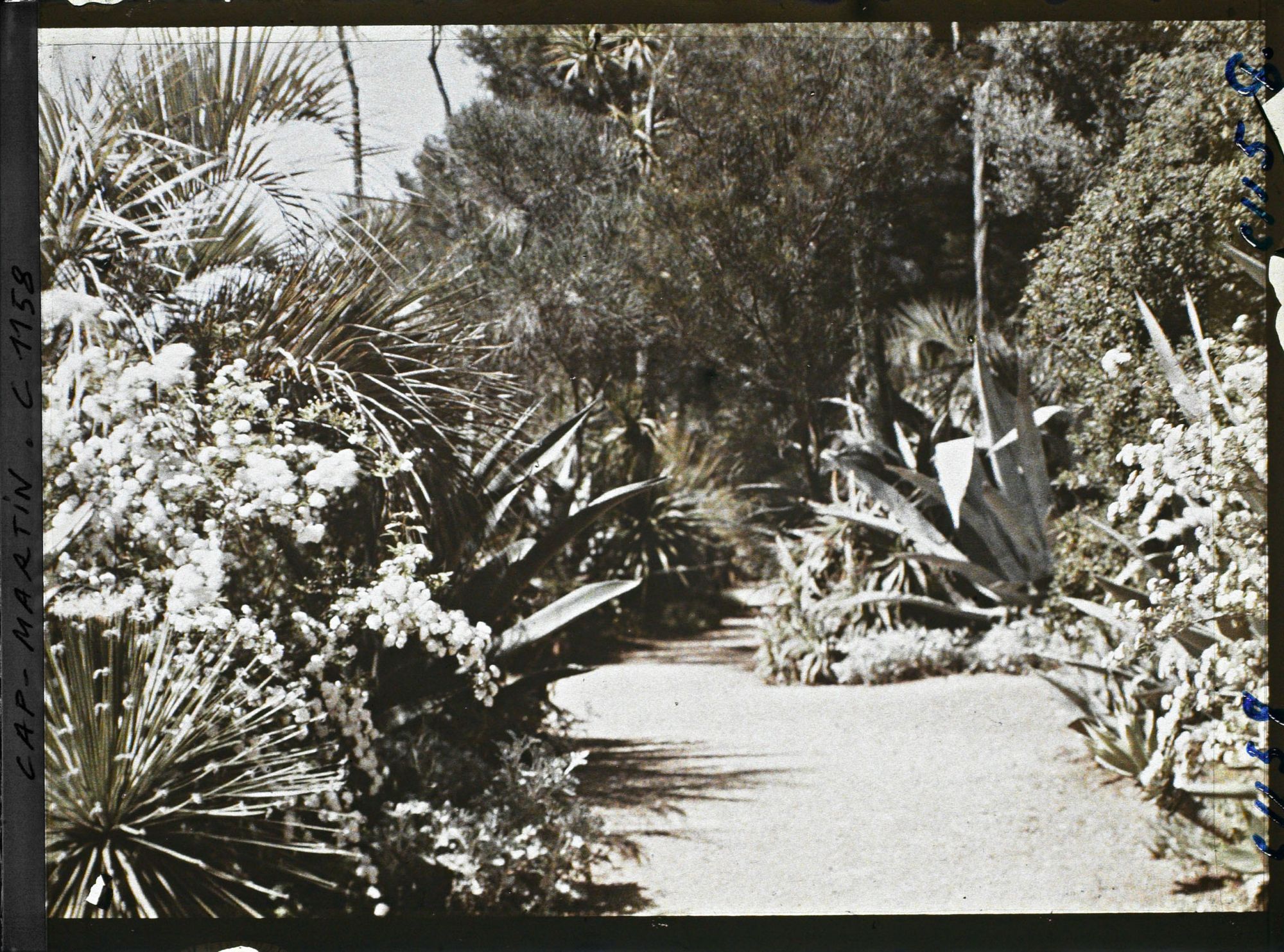 Image représentant le jardin