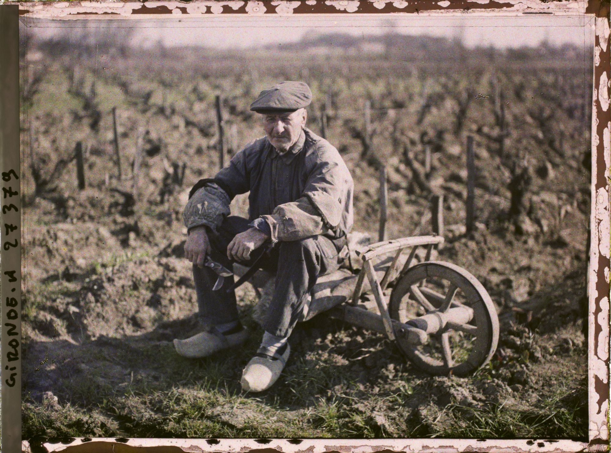 Image représentant France, Blanquefort, Un Vieux Vigneron