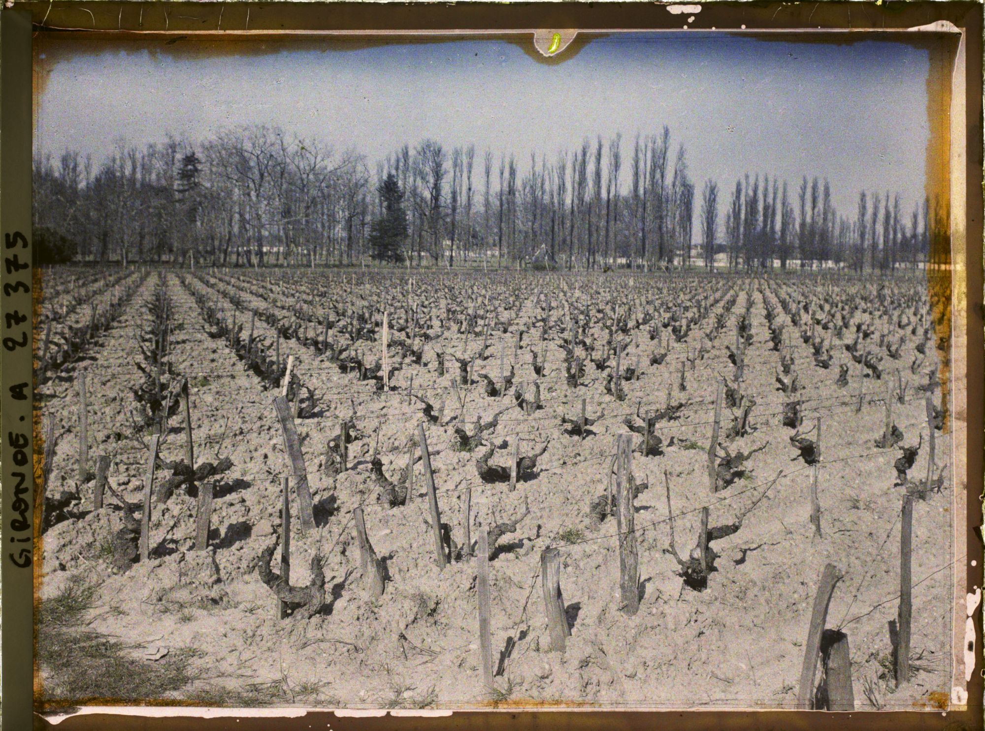 Image représentant France, Blanquefort, Panorama sur les Vignes