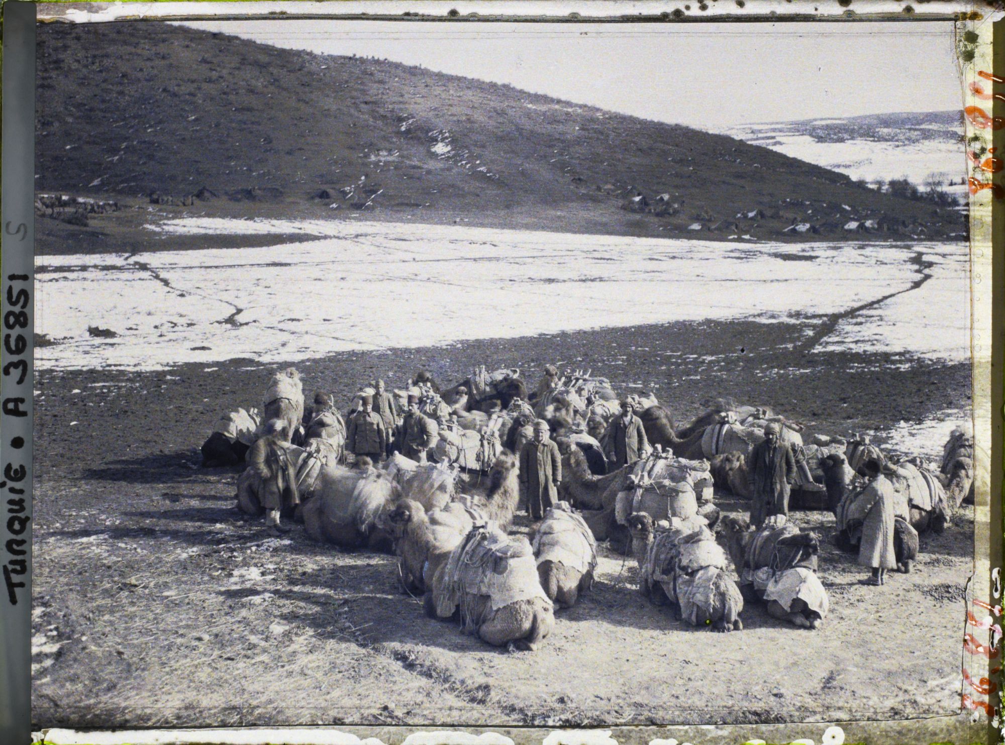 Image représentant Caravane de chameaux au repos