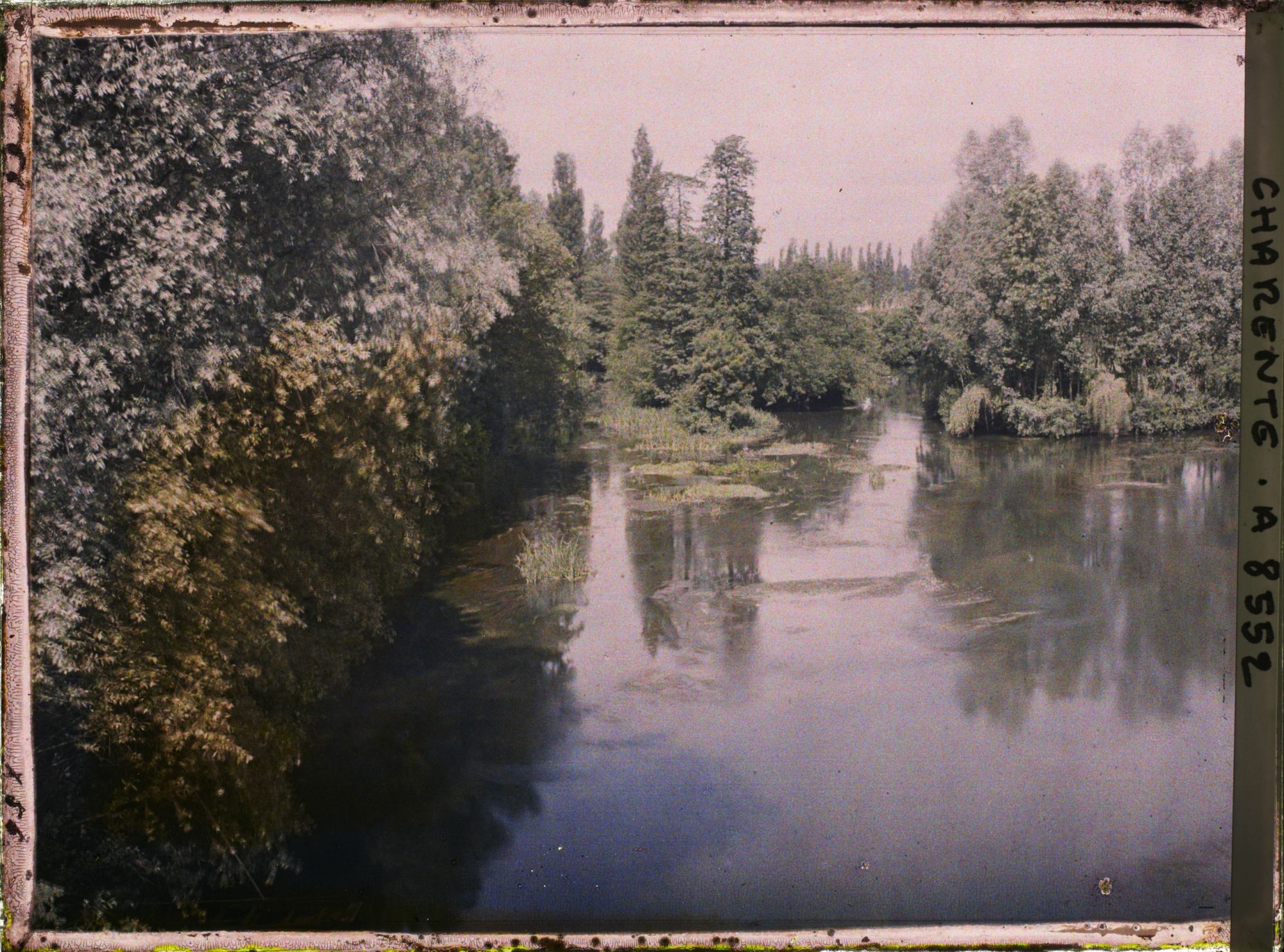 Image représentant Bords de la Charente (aval)