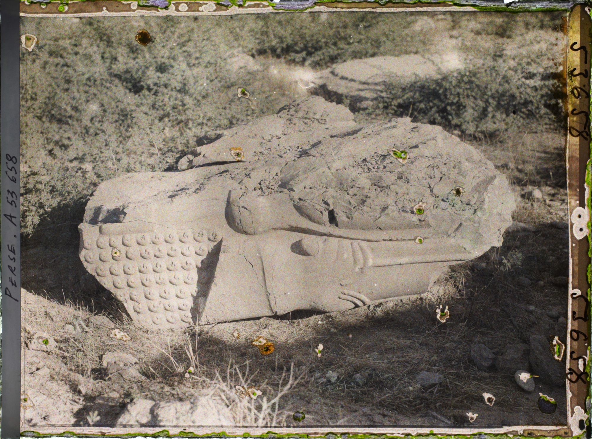 Image représentant Fragment sculpté de colonne ou de bas-relief