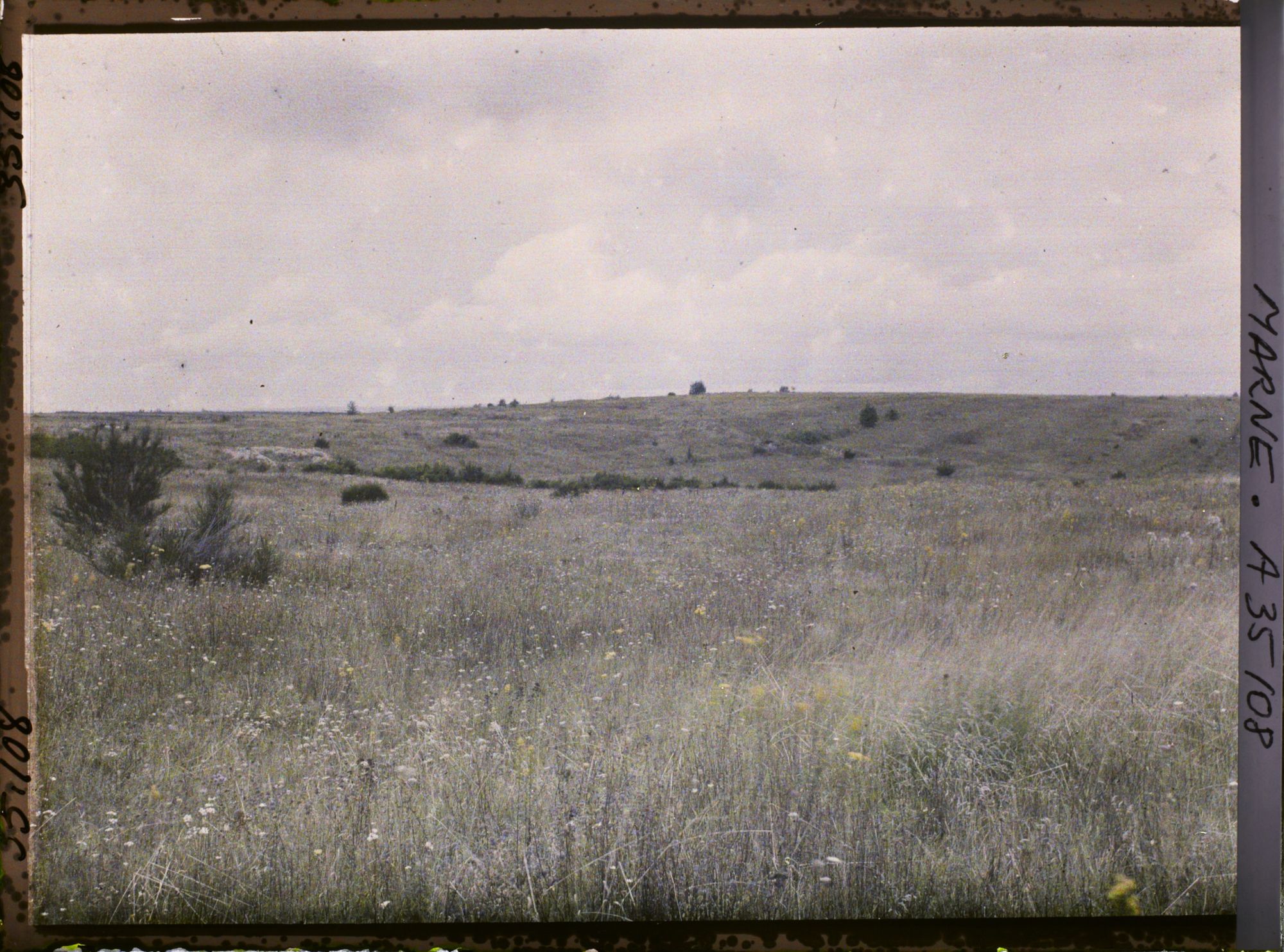 Image représentant France, Binarville (Meuse), Ancien emplacement allemand même secteur route de Binarville à Servon