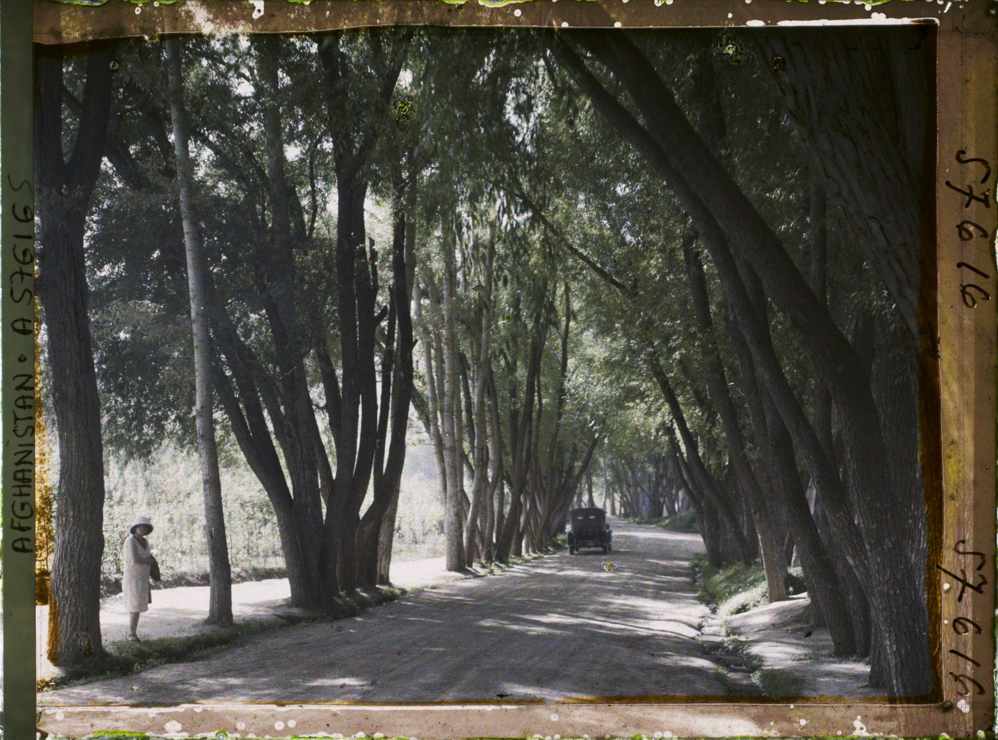 Image représentant Une allée du village