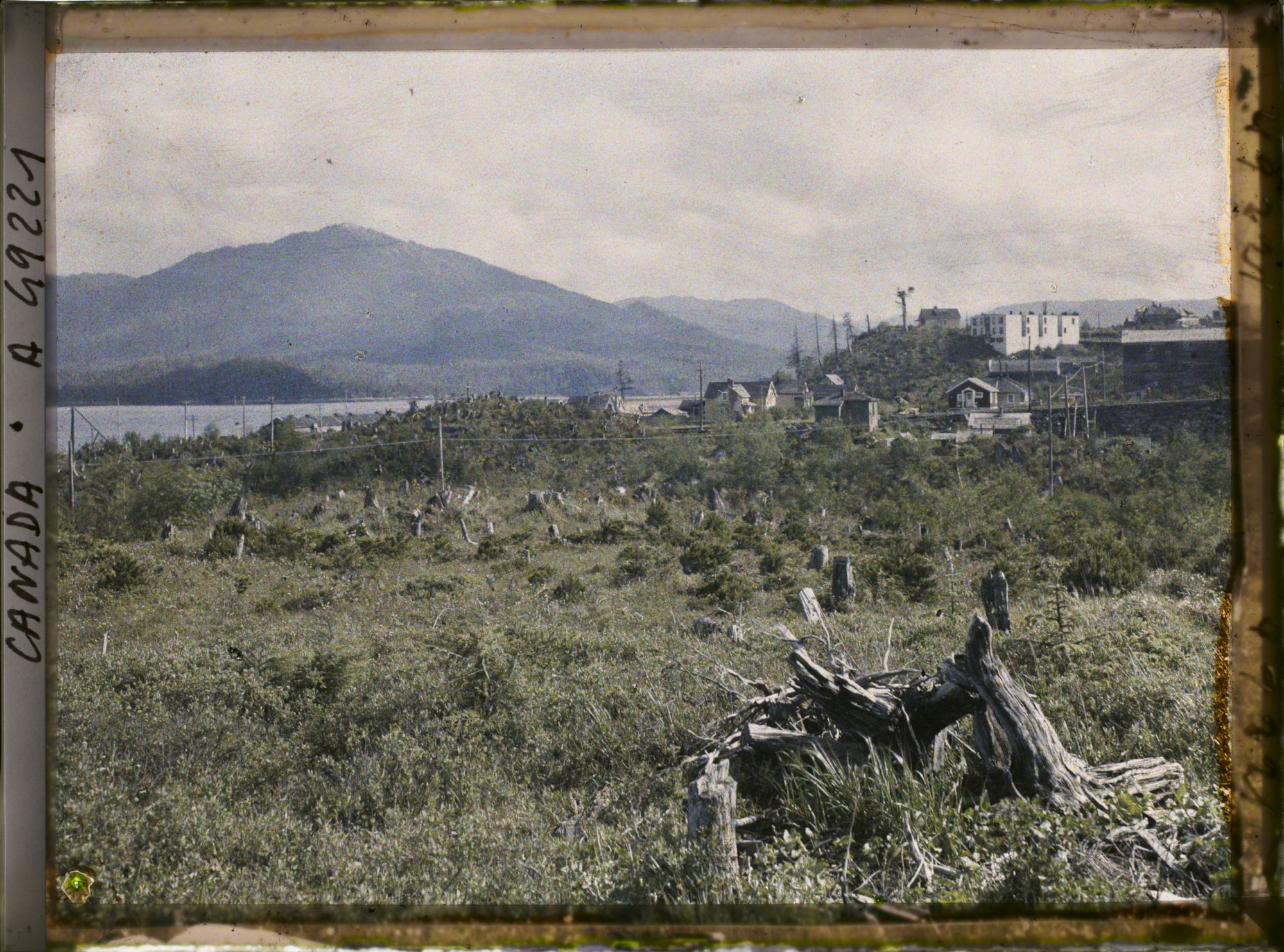 Image représentant Canada, Prince Rupert, Vue montrant défrichement pour construire ville