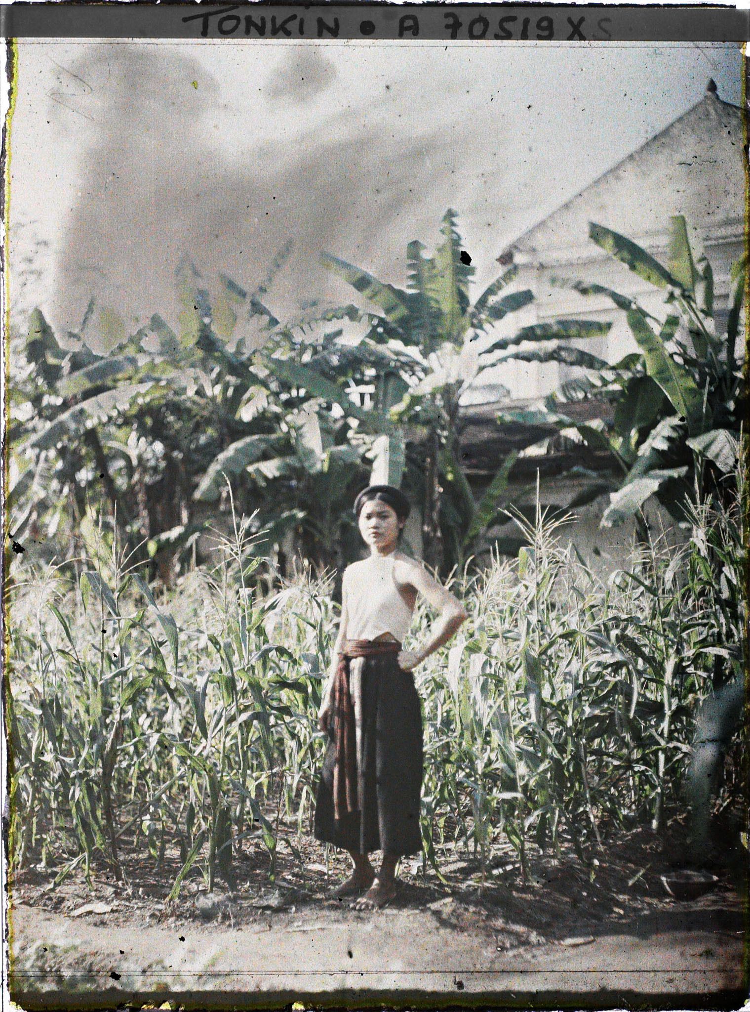 Image représentant Une jeune fille en cache-sein devant un champ de maïs bordé de bananiers