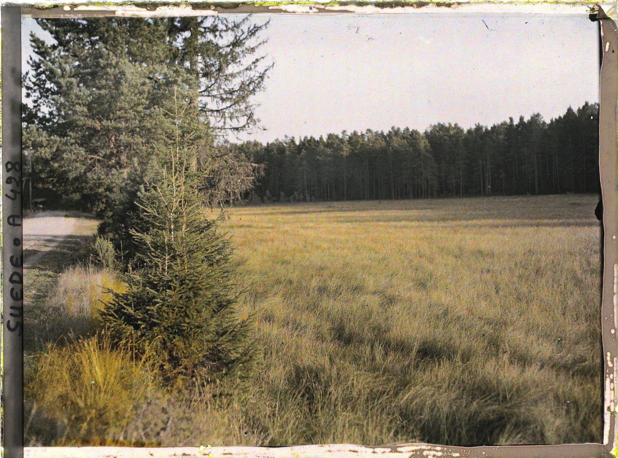 Image représentant Route de campagne
