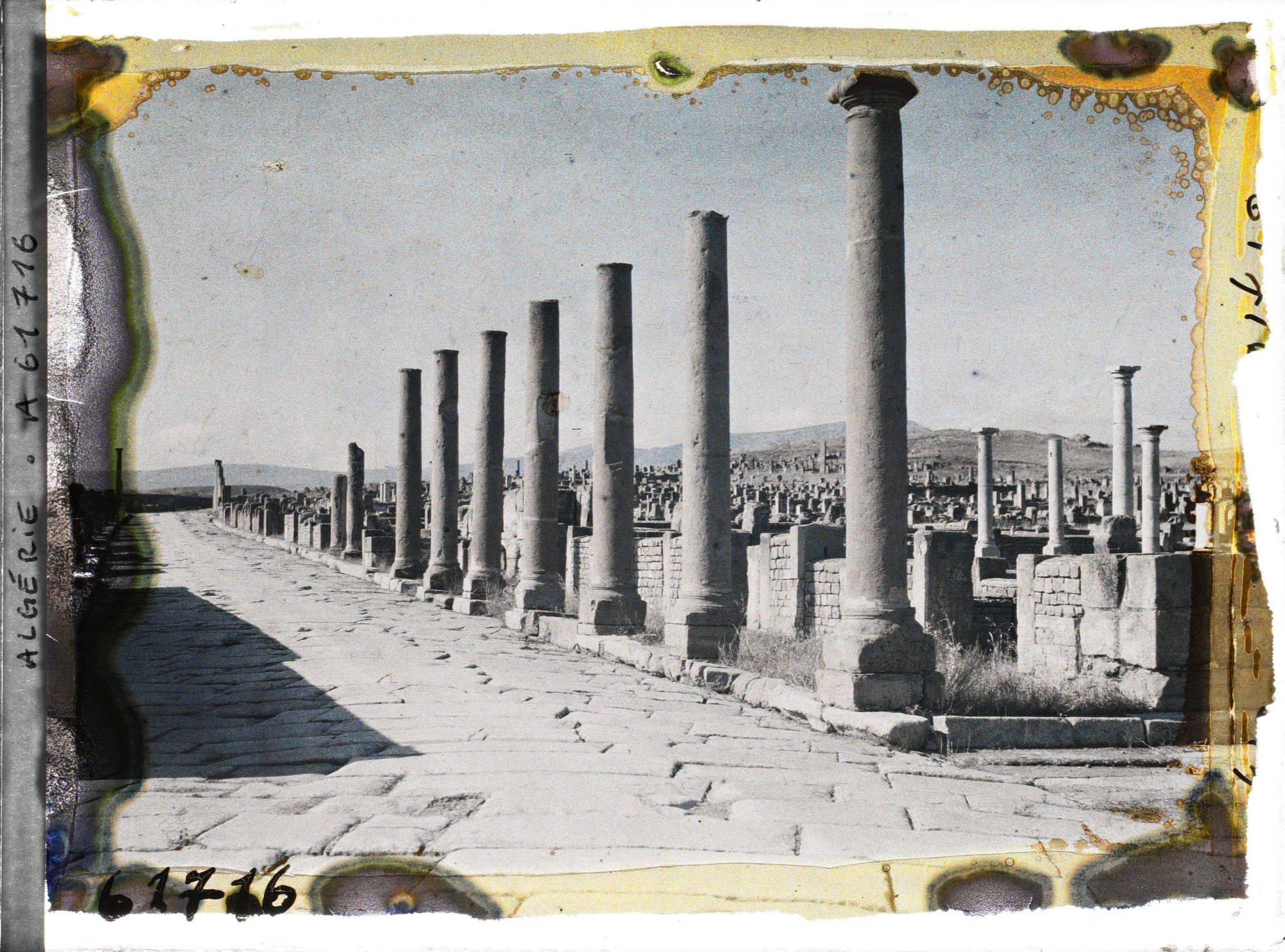 Image représentant Algérie, Timgad, Cardo Sud