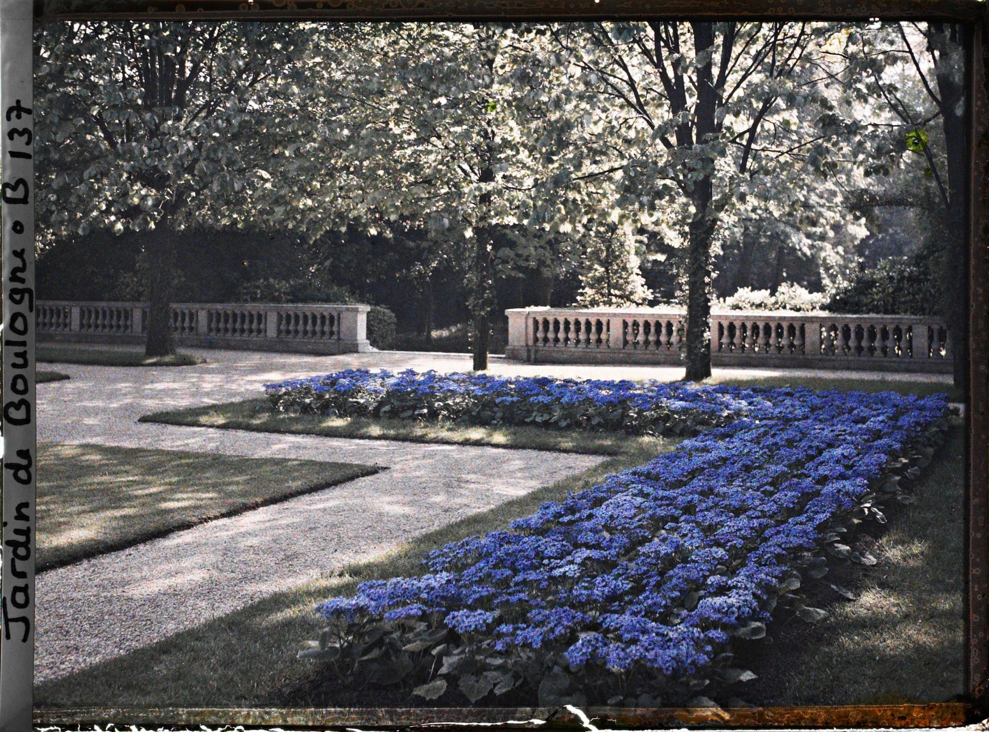 Image représentant Partie sud-est du jardin français, côté jardin anglais
