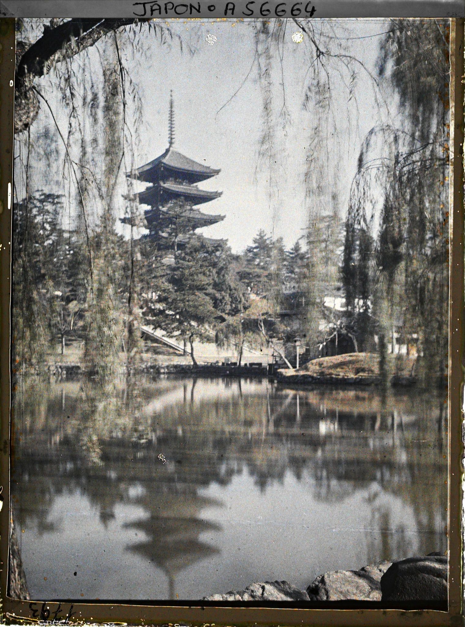 Image représentant Temple Kôfuku-ji : l'étang Sarusawa (Sarusawa-no-ike) et la Gojunoto (pagode à cinq étages)