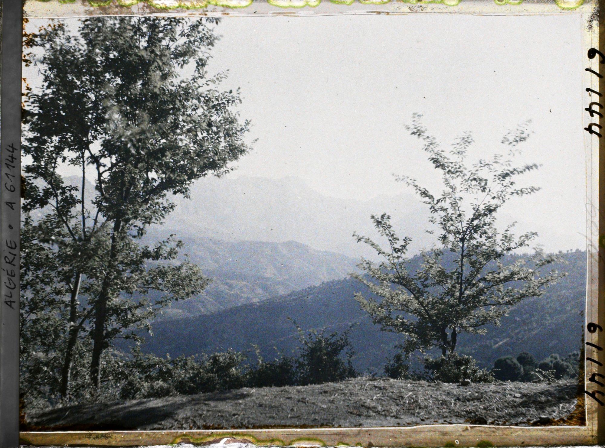 Image représentant Vue de la chaîne du Djurdjura