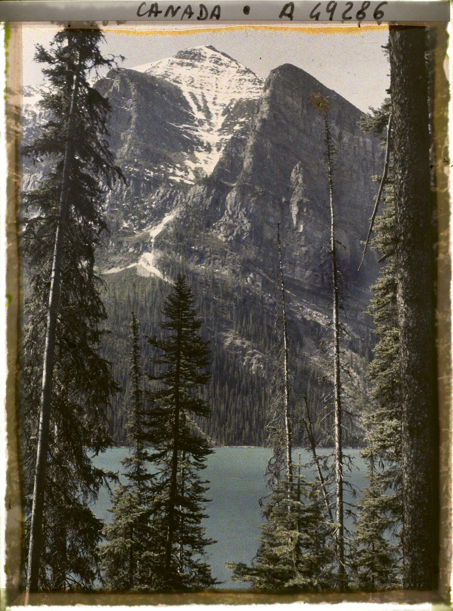 Image représentant Canada, Lac Louise, Le Lac et le Mt Fairwiev entre les arbres
