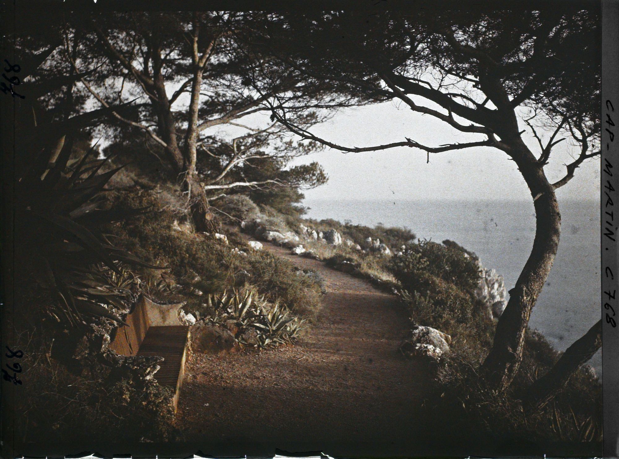 Image représentant allée allant au sentier de mer
