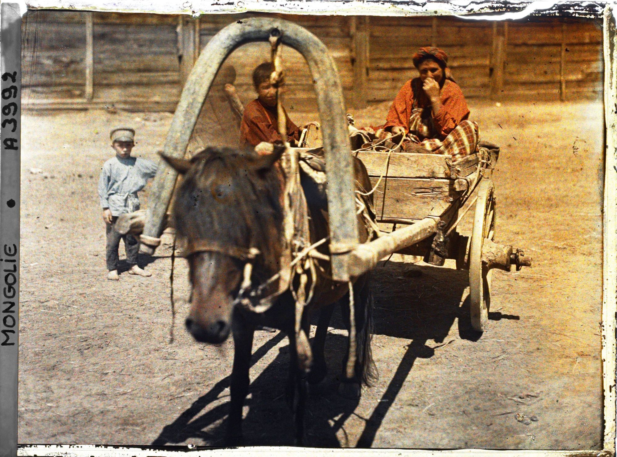 Image représentant Une paysanne conduisant une charrette