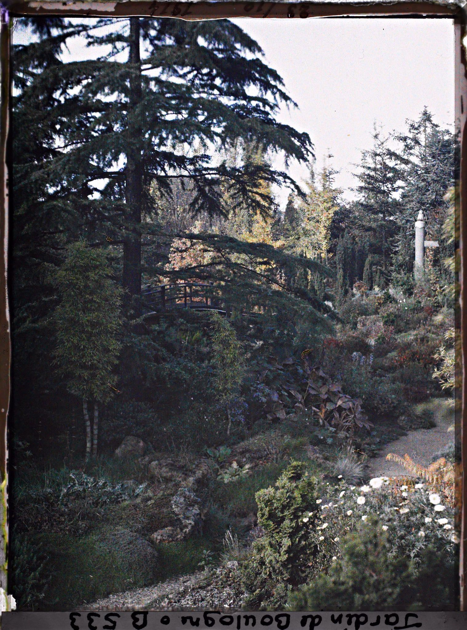 Image représentant Chemin du " sanctuaire japonais " menant au sôrintô bordé de rocailles, arbres et bambous