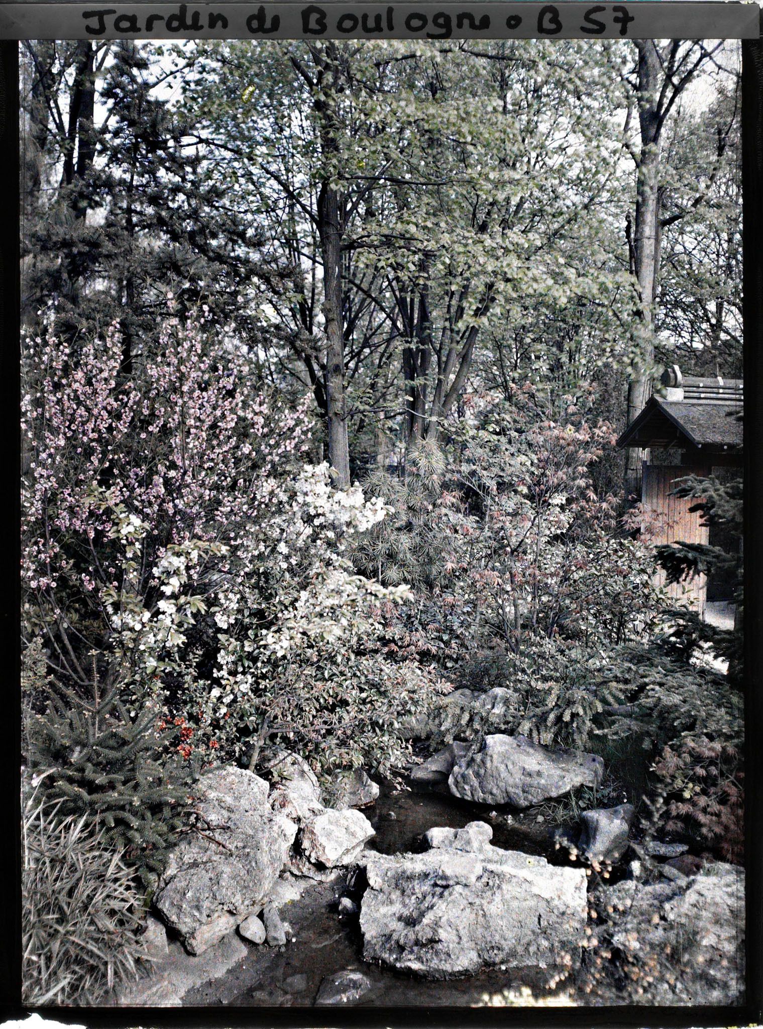 Image représentant Ruisseau et rocaille fleurie du " village japonais ", près de la porte ouvrant sur le jardin anglais