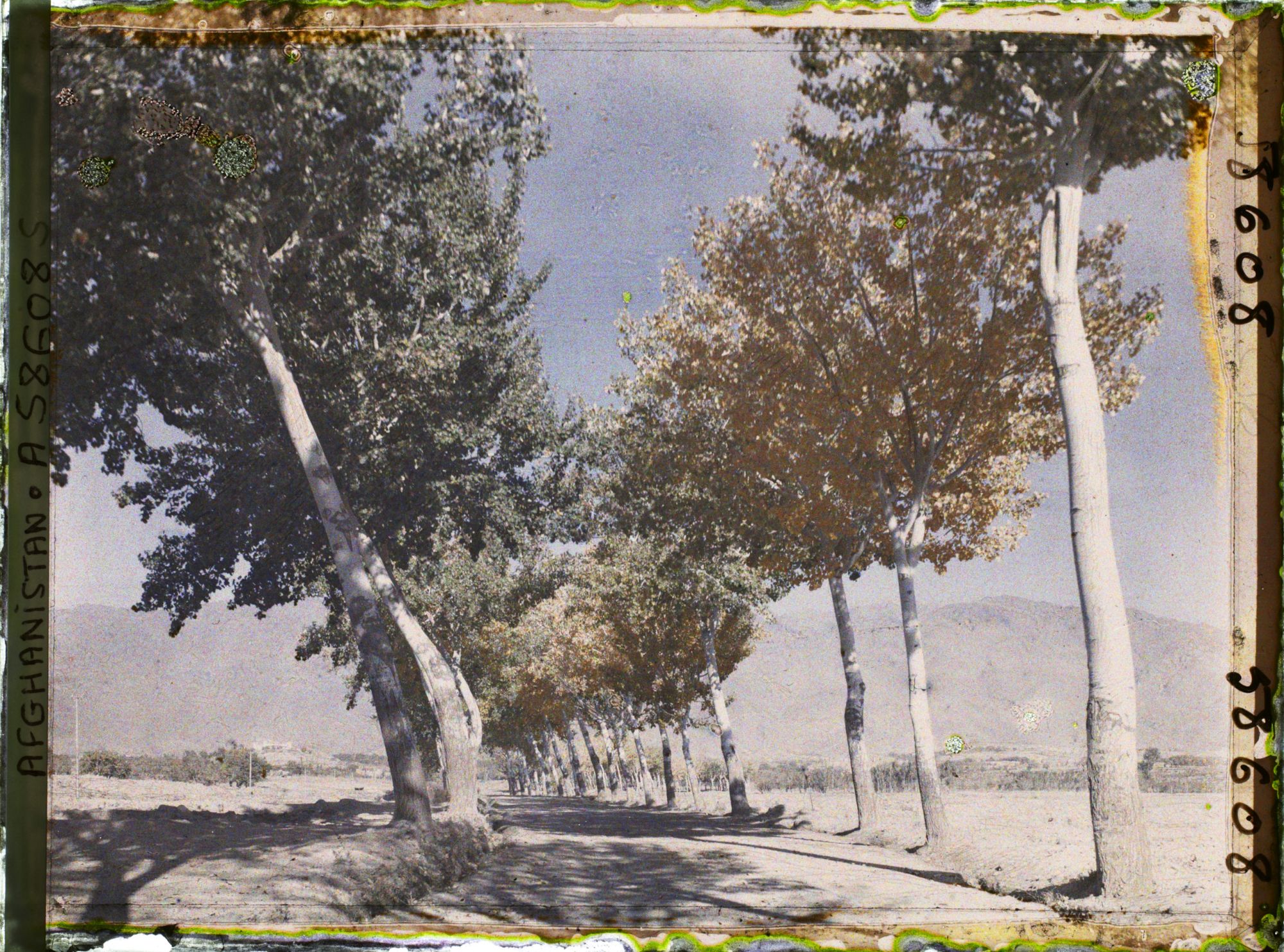 Image représentant Afghanistan, Kaboul, La route de Paghman Kaboul, effet d'automne