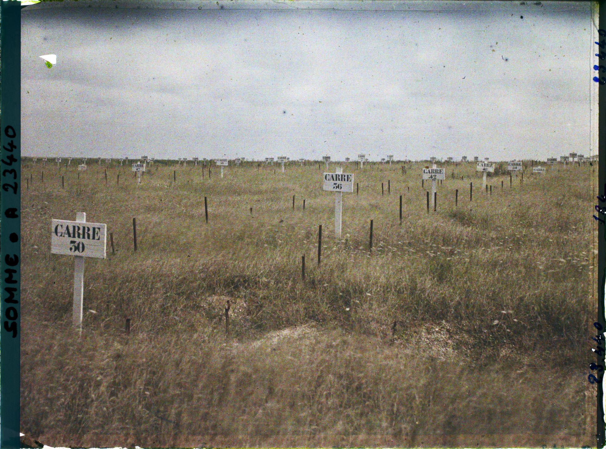 Image représentant France, Rancourt, Aménagement du futur Cimetière de Rancourt