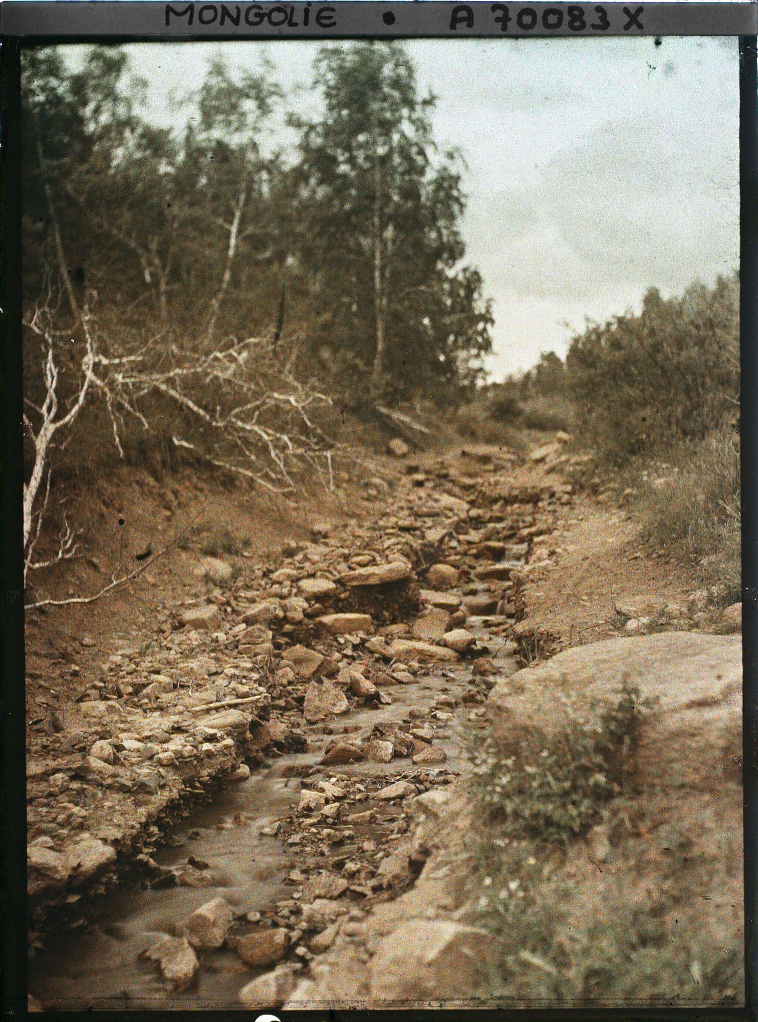 Image représentant Un cours d'eau