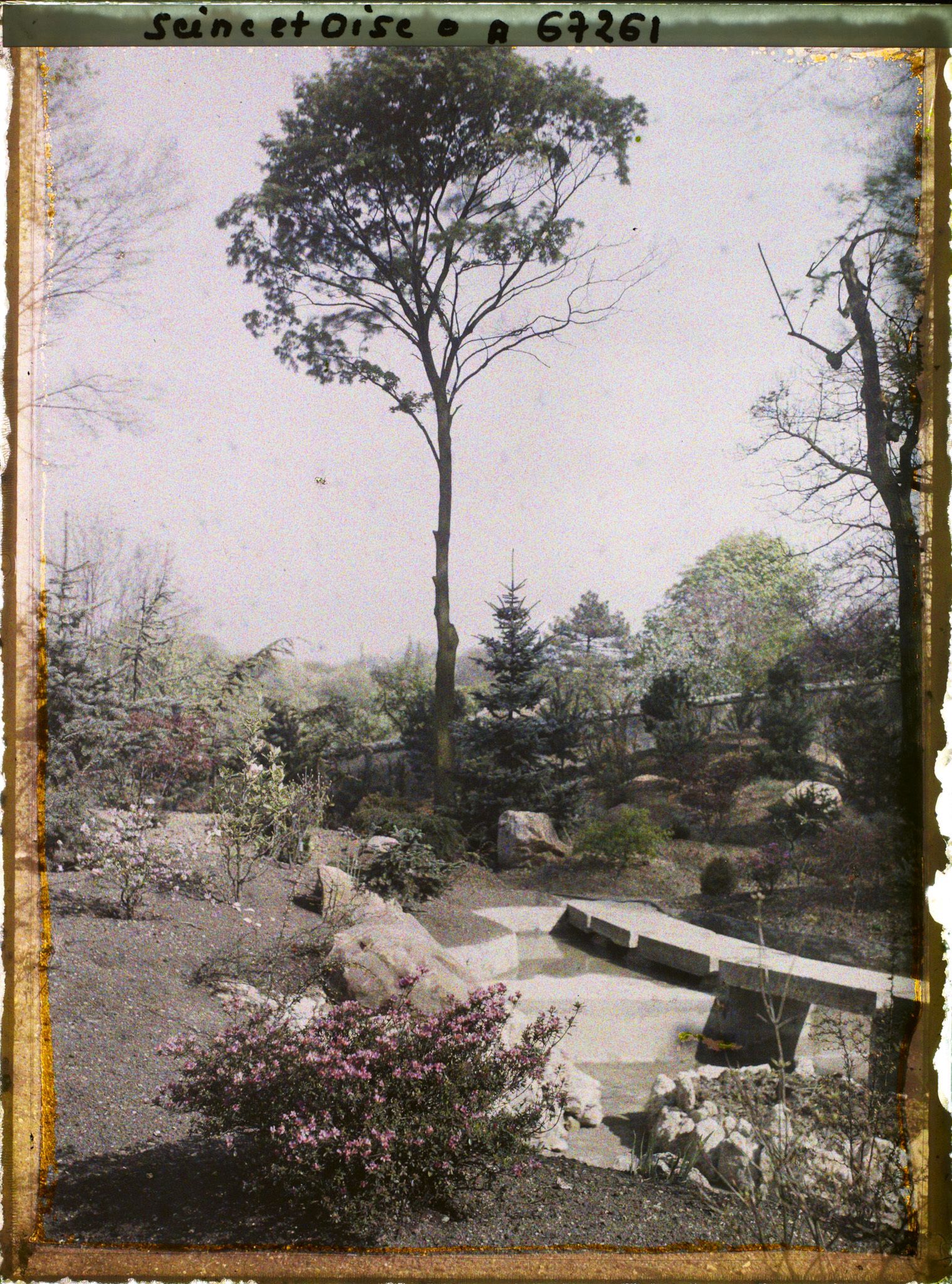 Image représentant Le jardin japonais de l'école normale supérieure de jeunes filles (ENSJF)